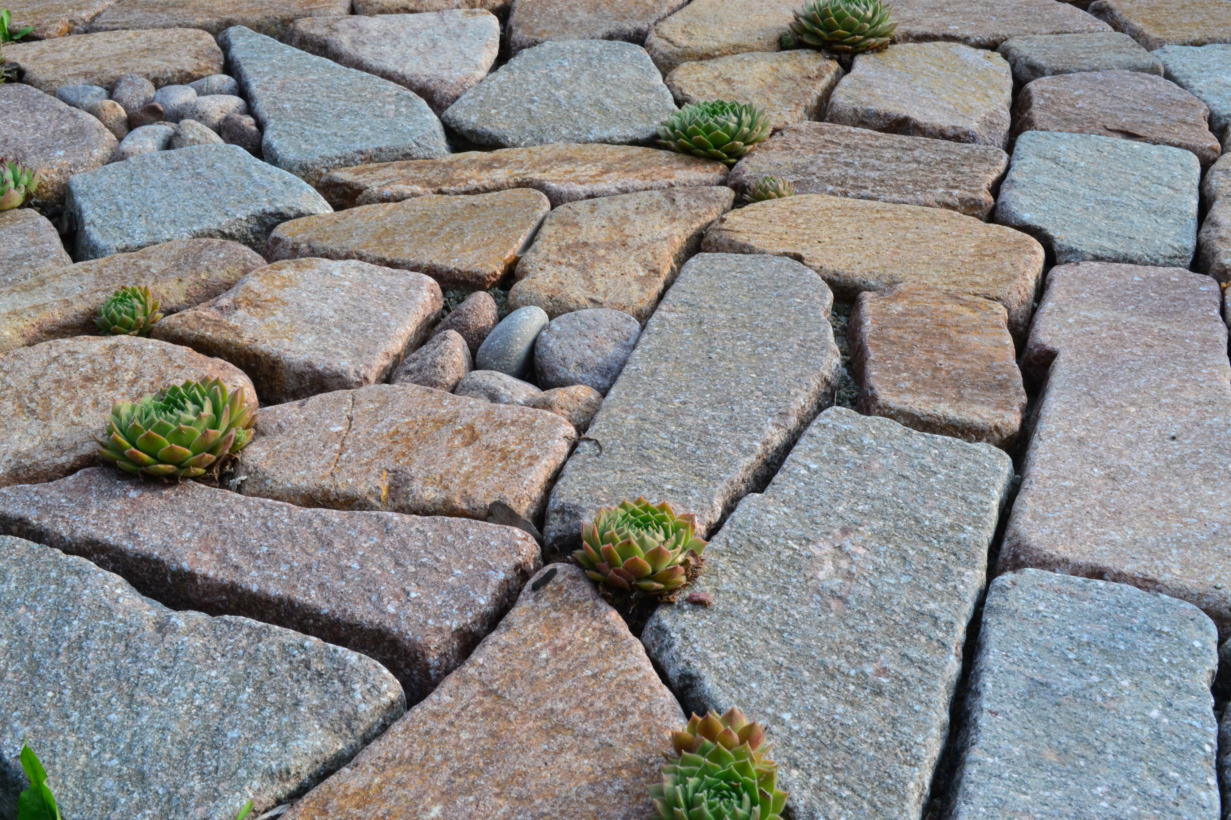 Kámen BIRO-D foto 4