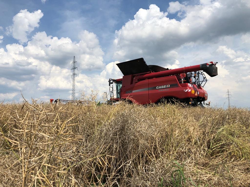 Zemědělské družstvo Sloupnice foto 2