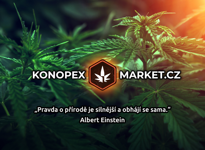 KONOPEX Market & Growshop foto 4