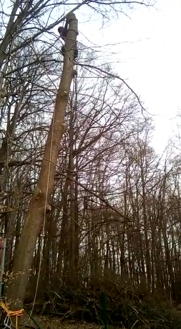ArboPňaček foto 2 (náhled videa)