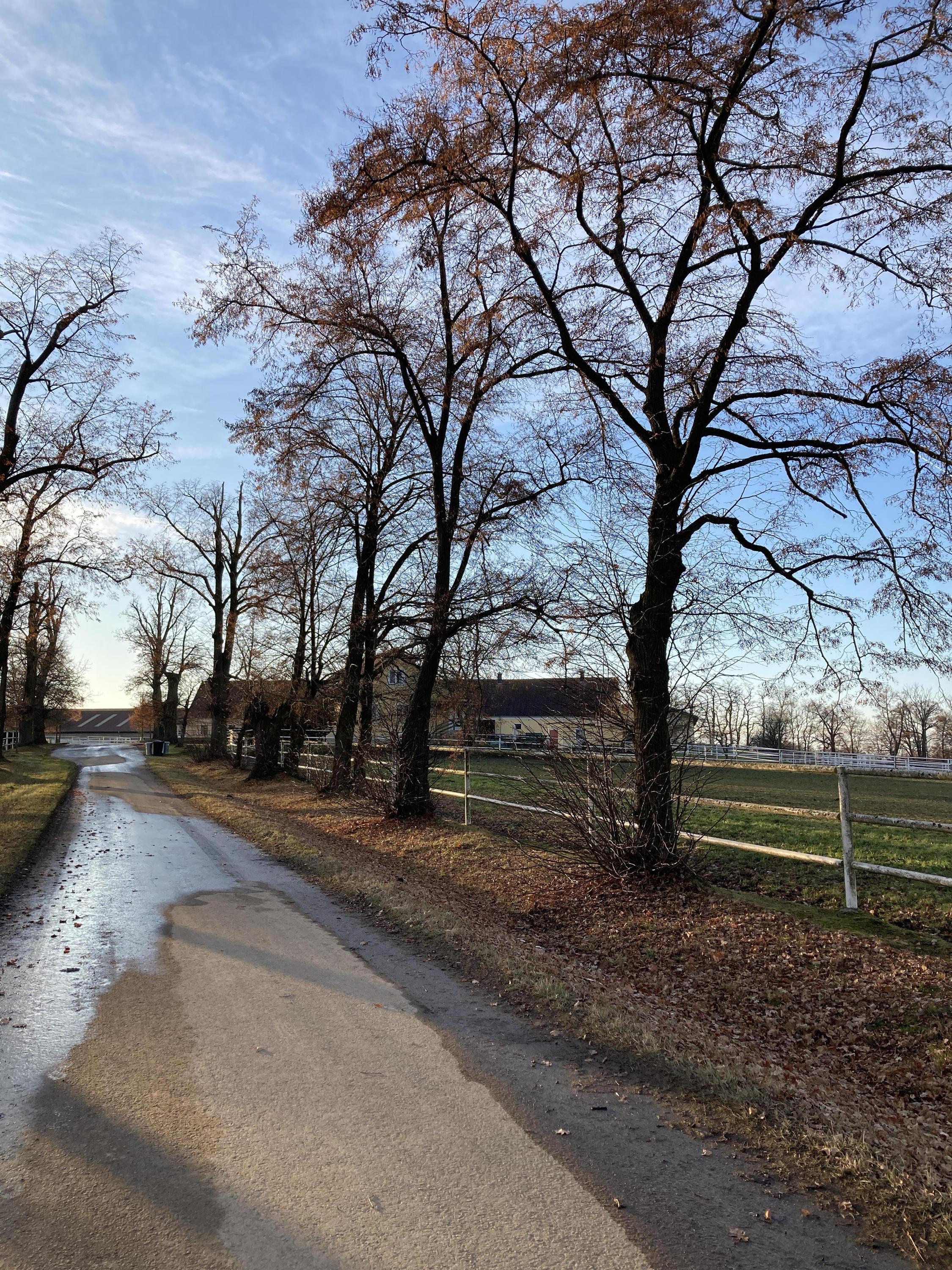 Agro - Hochstaffl, s.r.o. foto 4