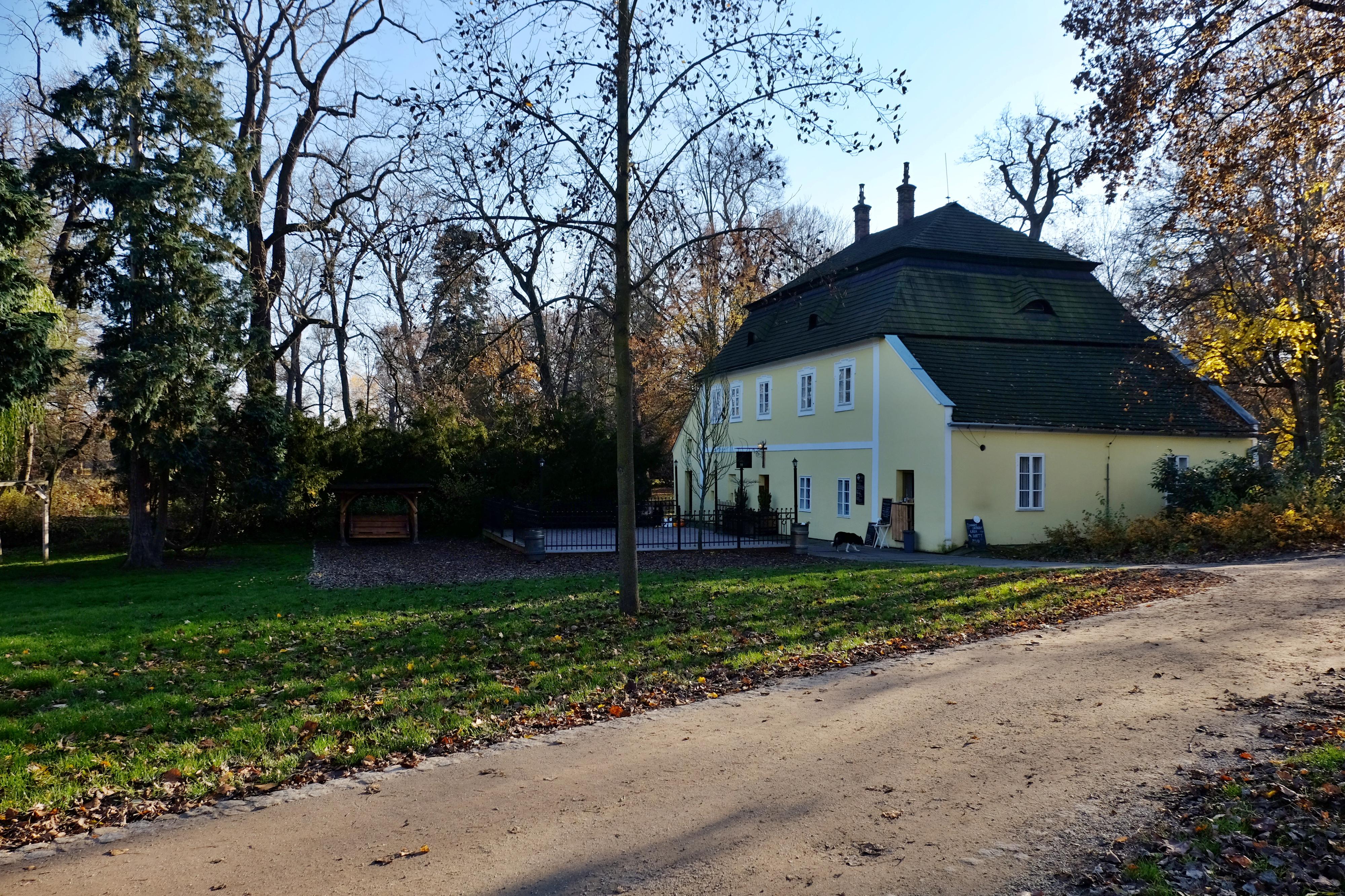 V parku foto 2