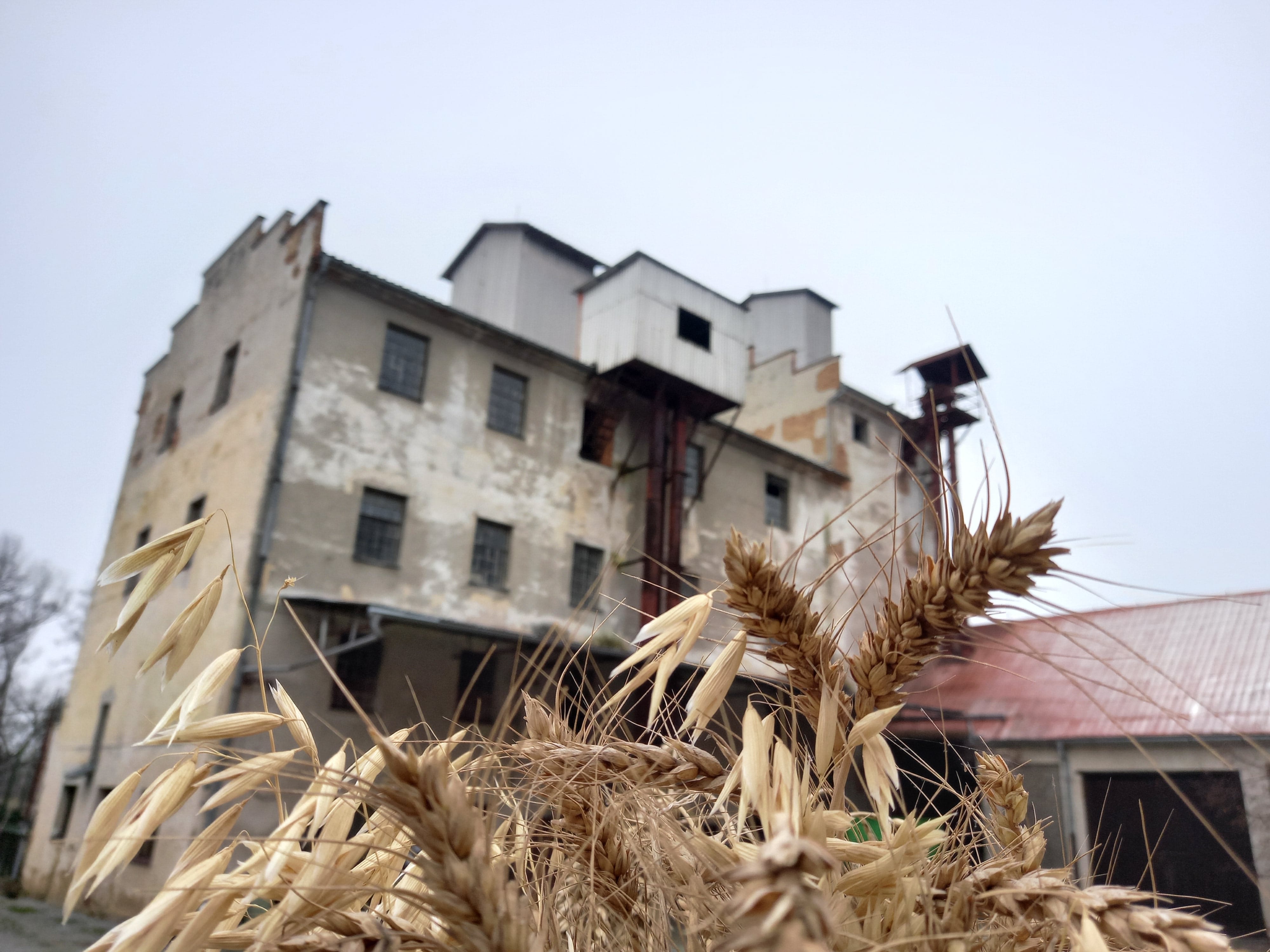 Krmiva Černice foto 2