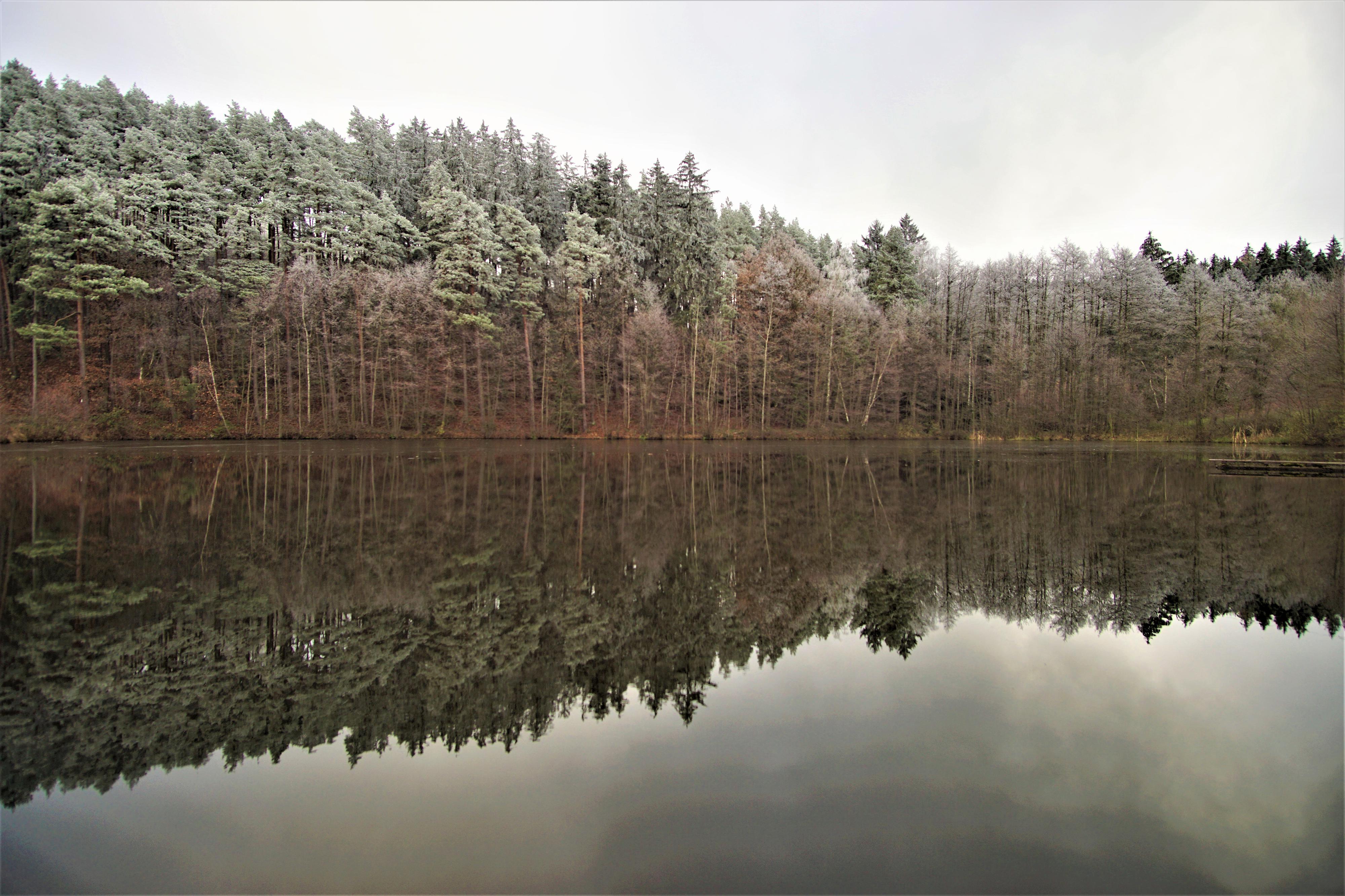 Přírodní koupaliště Medový Újezd foto 5