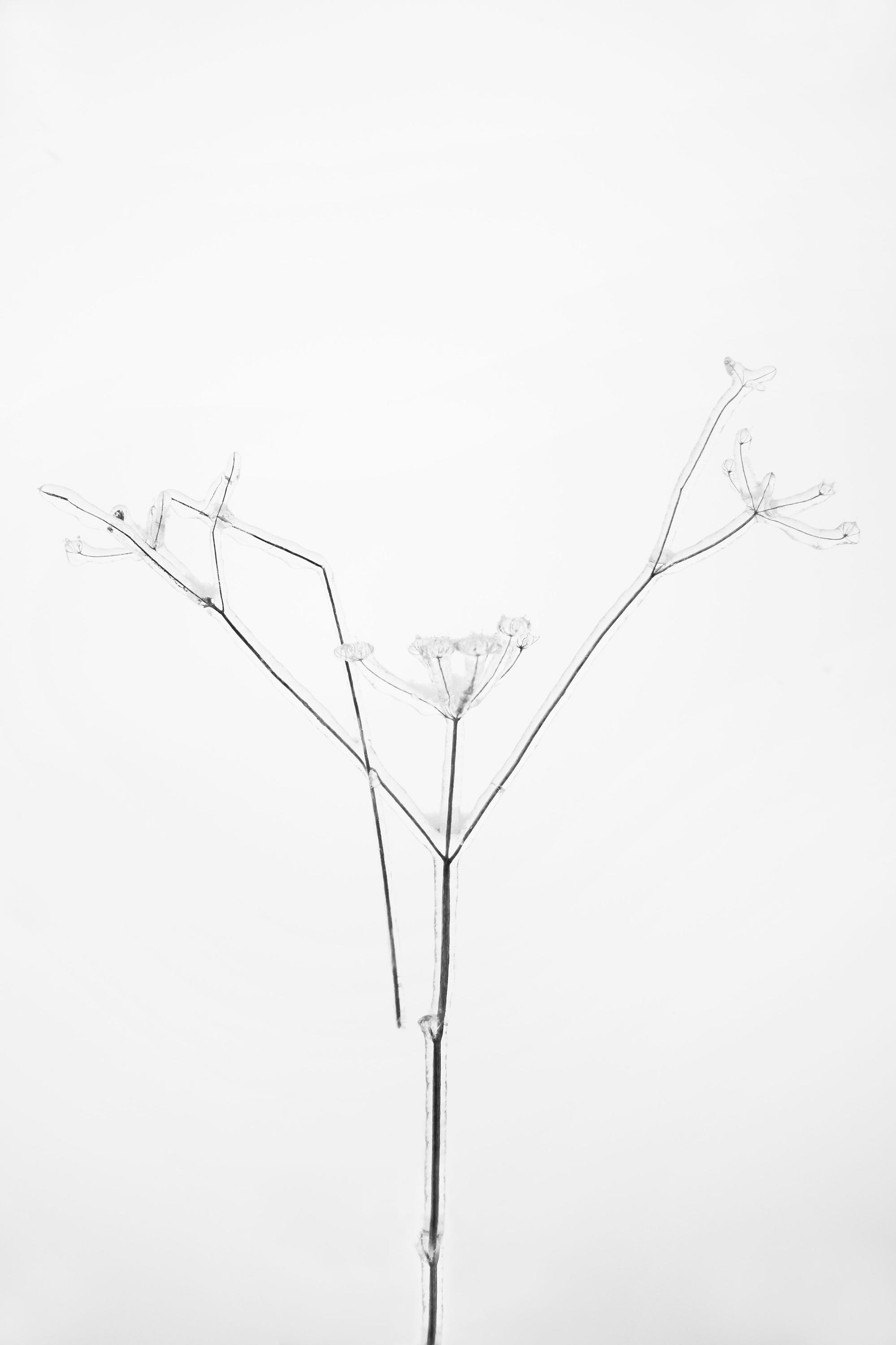 Tereza Kropáčová / Fotograf foto 1