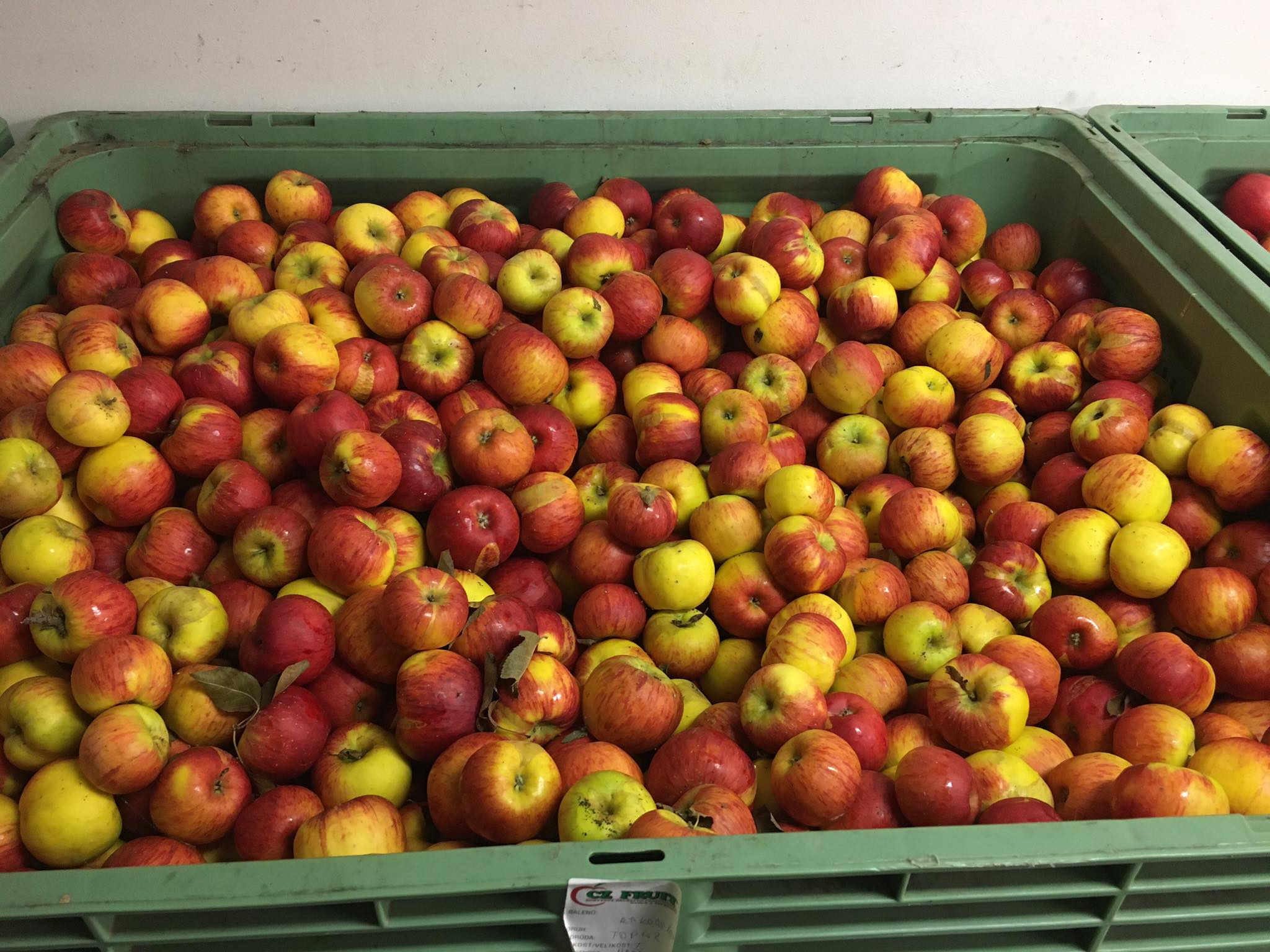 České Ovoce a Zelenina Lorenc foto 3