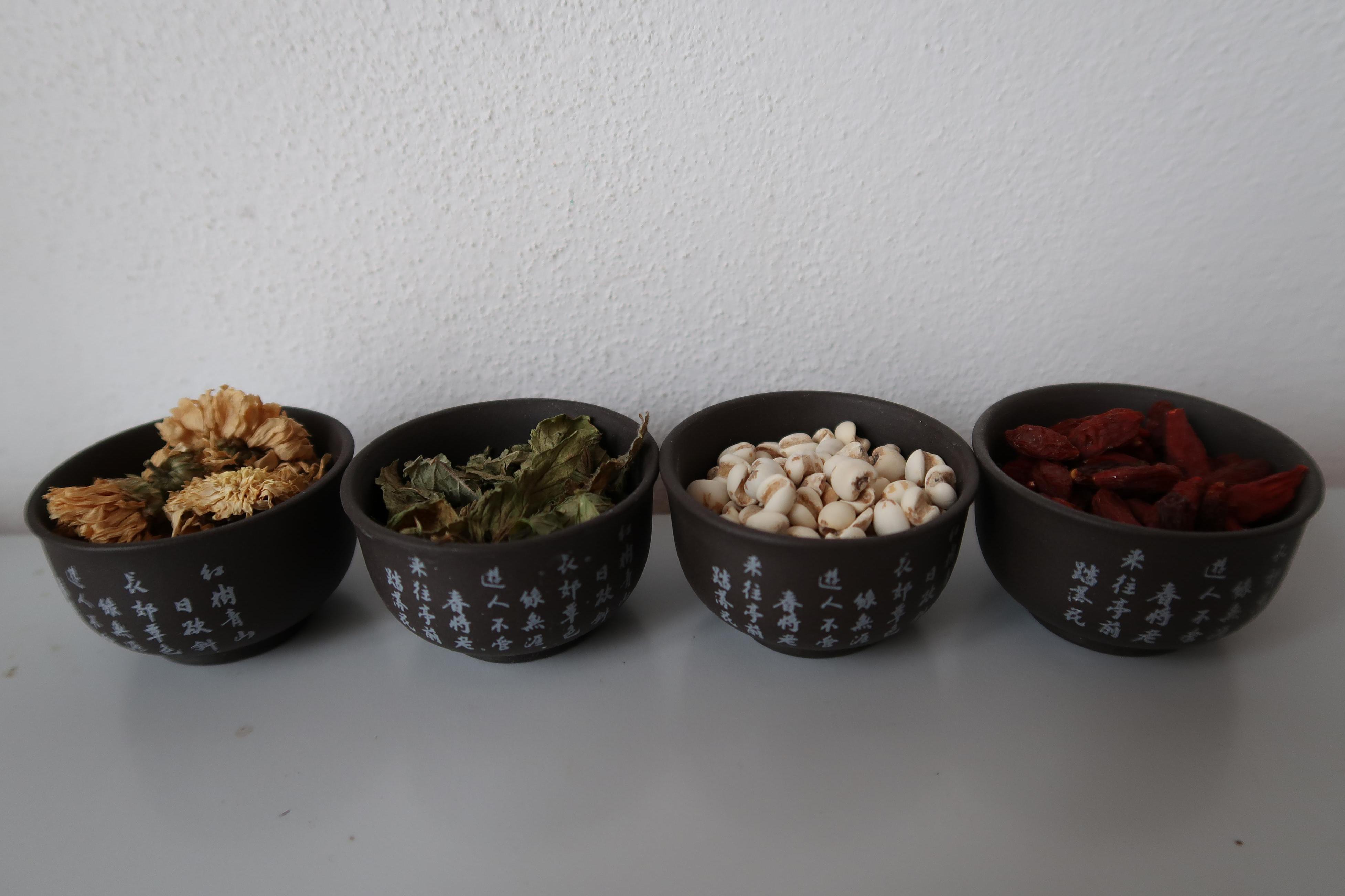 Mgr. Jana Balcarová - tradiční čínská medicína