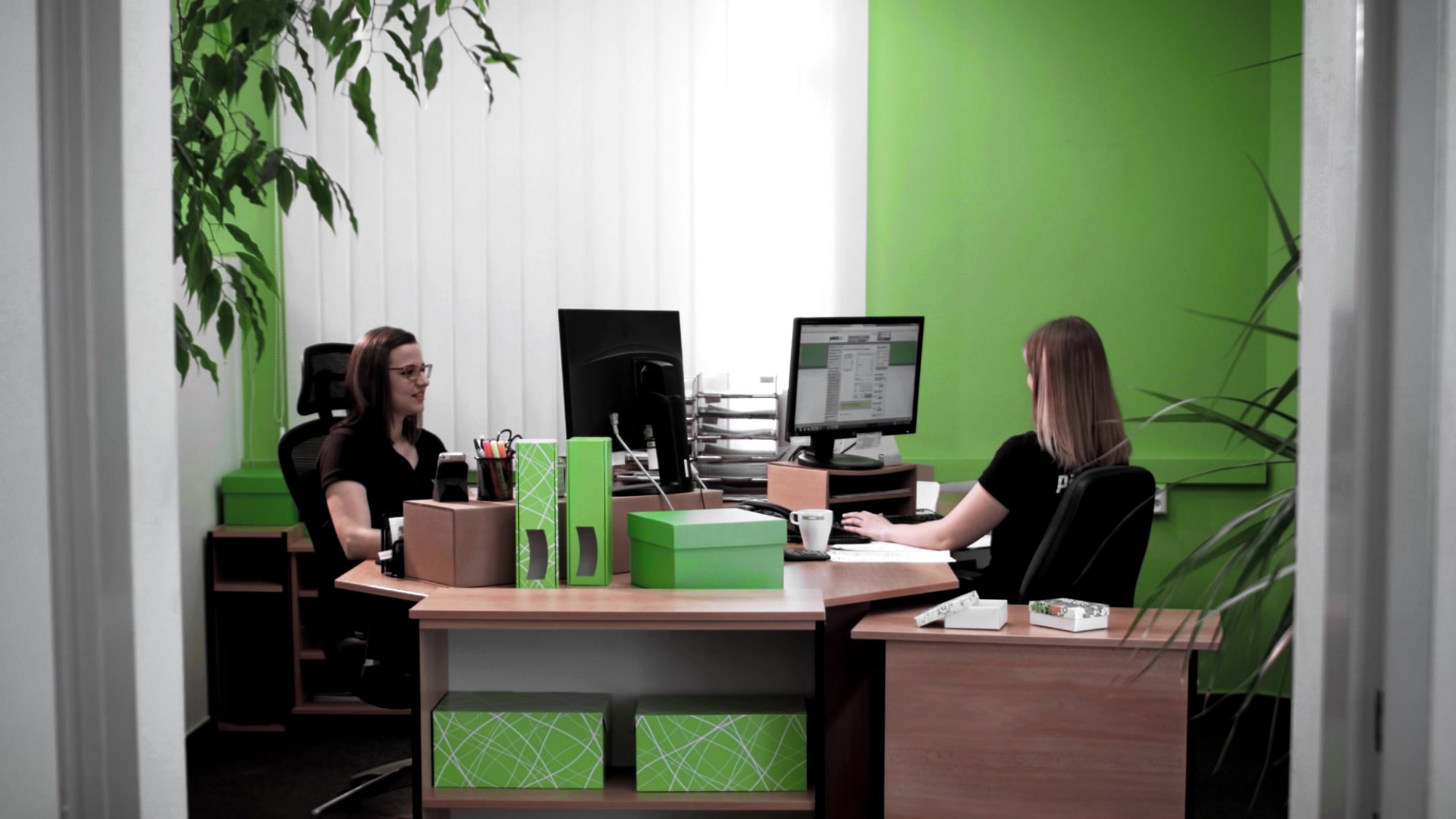 Paketo.cz foto 2 (náhled videa)