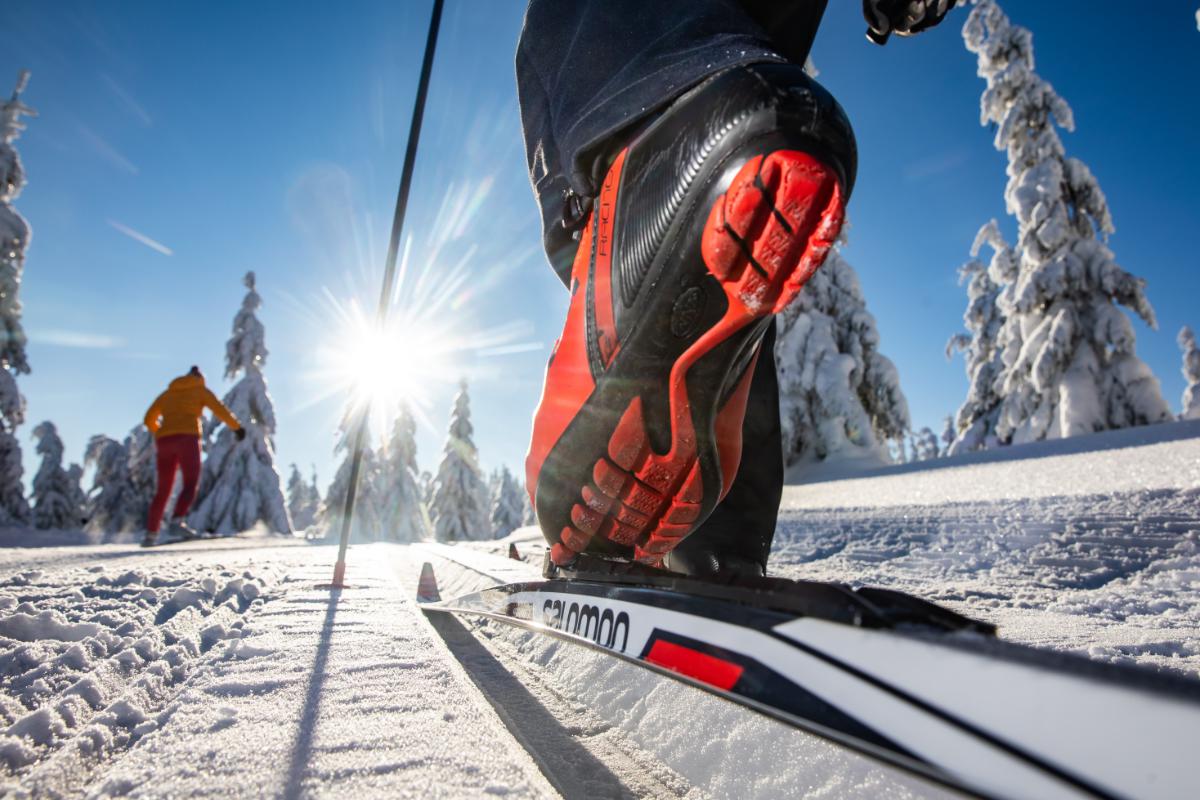 Lyžařská škola & Půjčovna | SkiResort Live foto 2