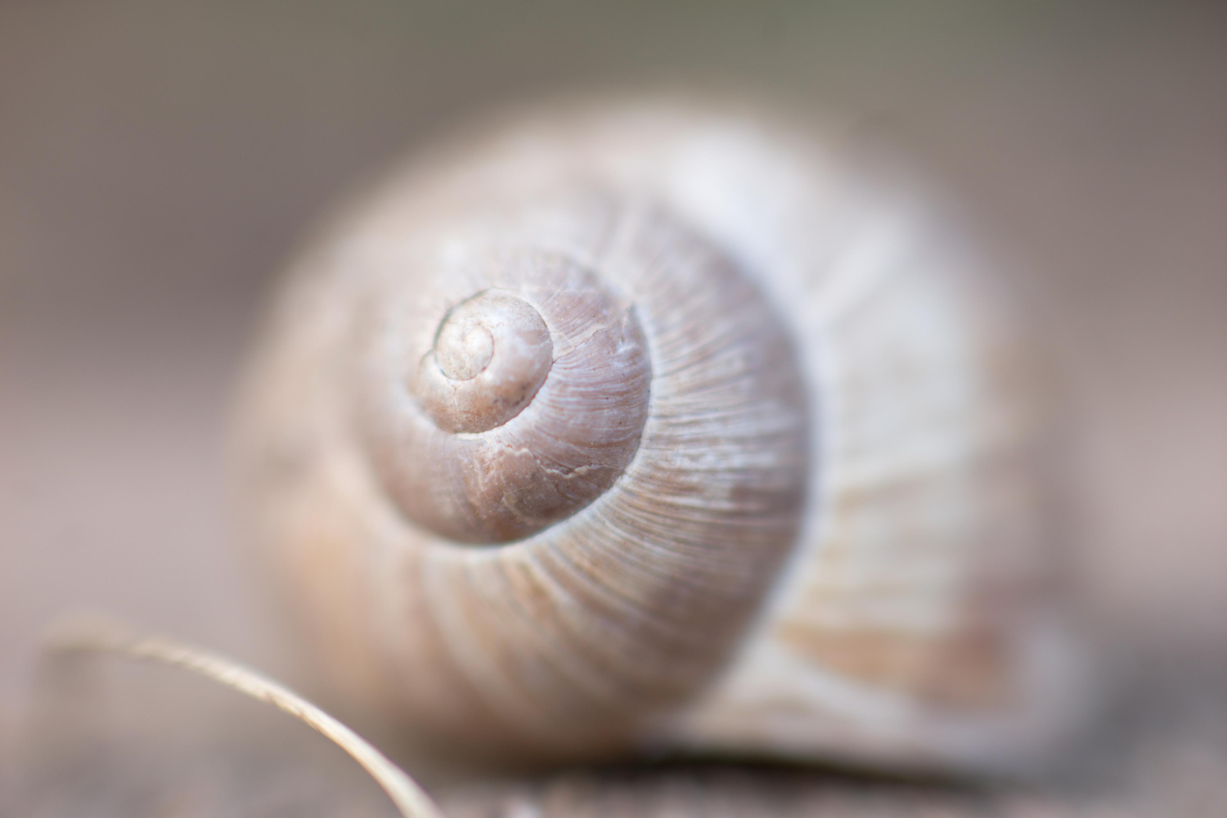 Fotoateliér Petra Vlasáková foto 2