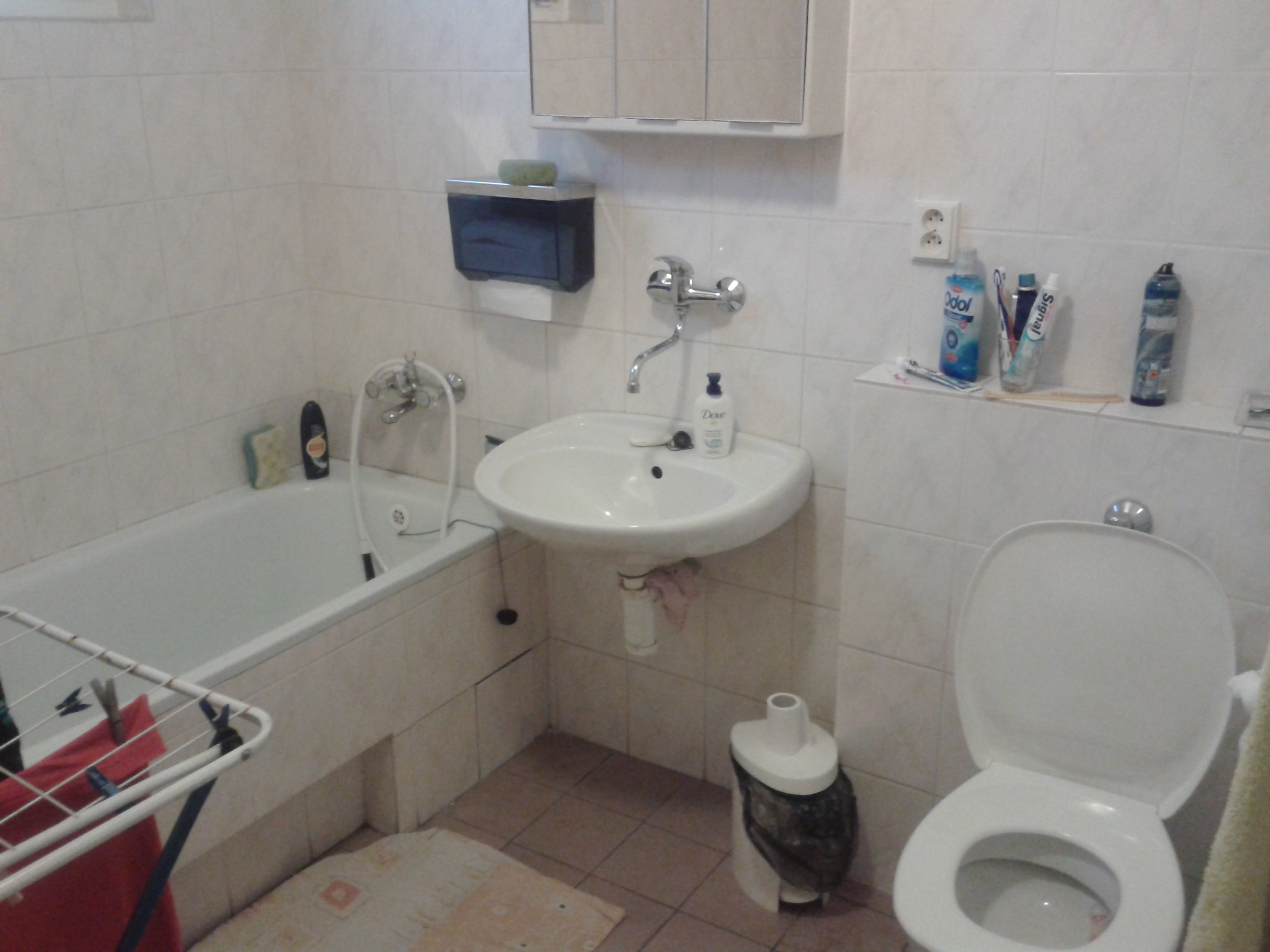 ŽLUTÁ SOVA foto 6