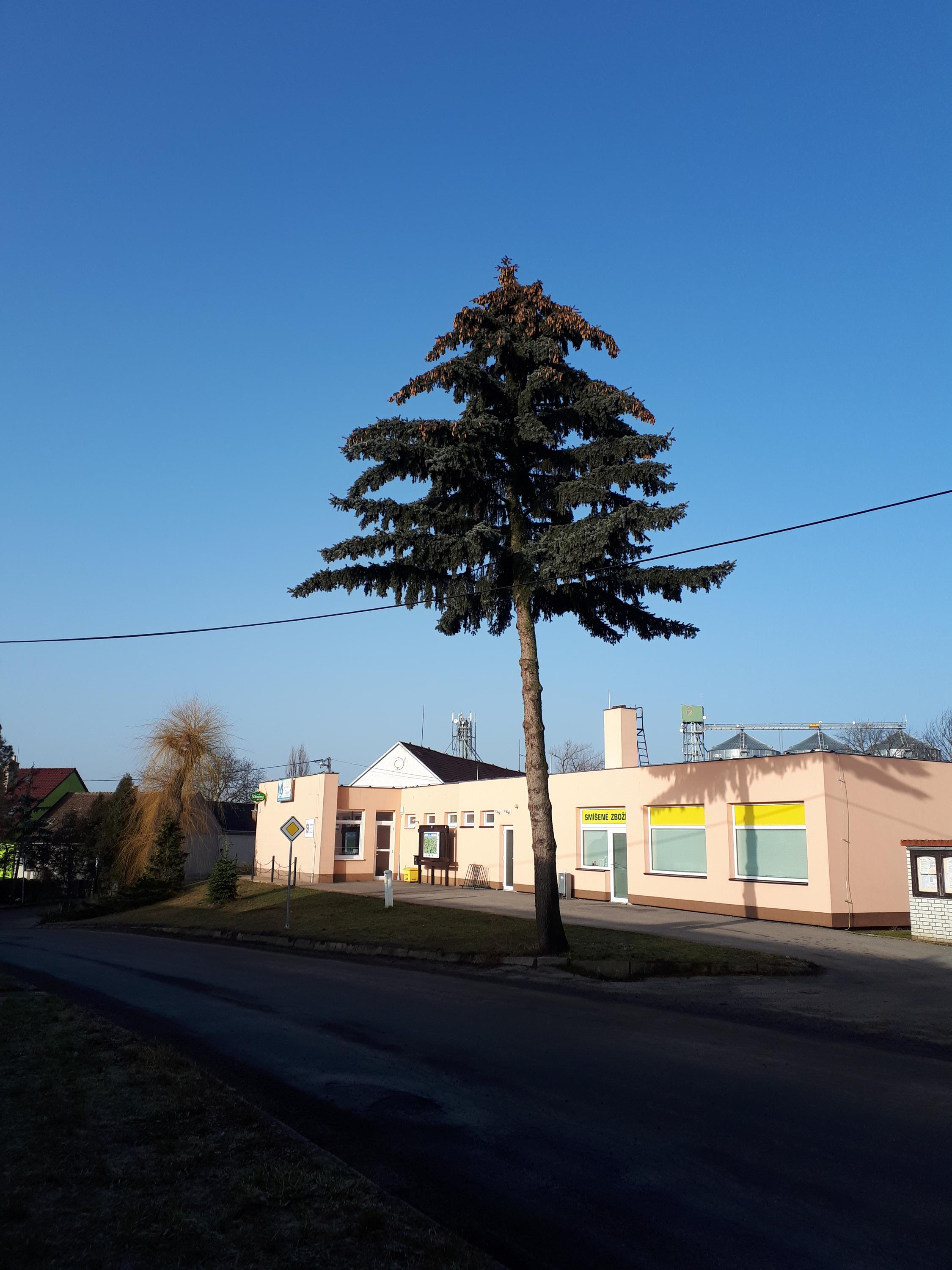 BEZPEČNOST HORÁCKA foto 2