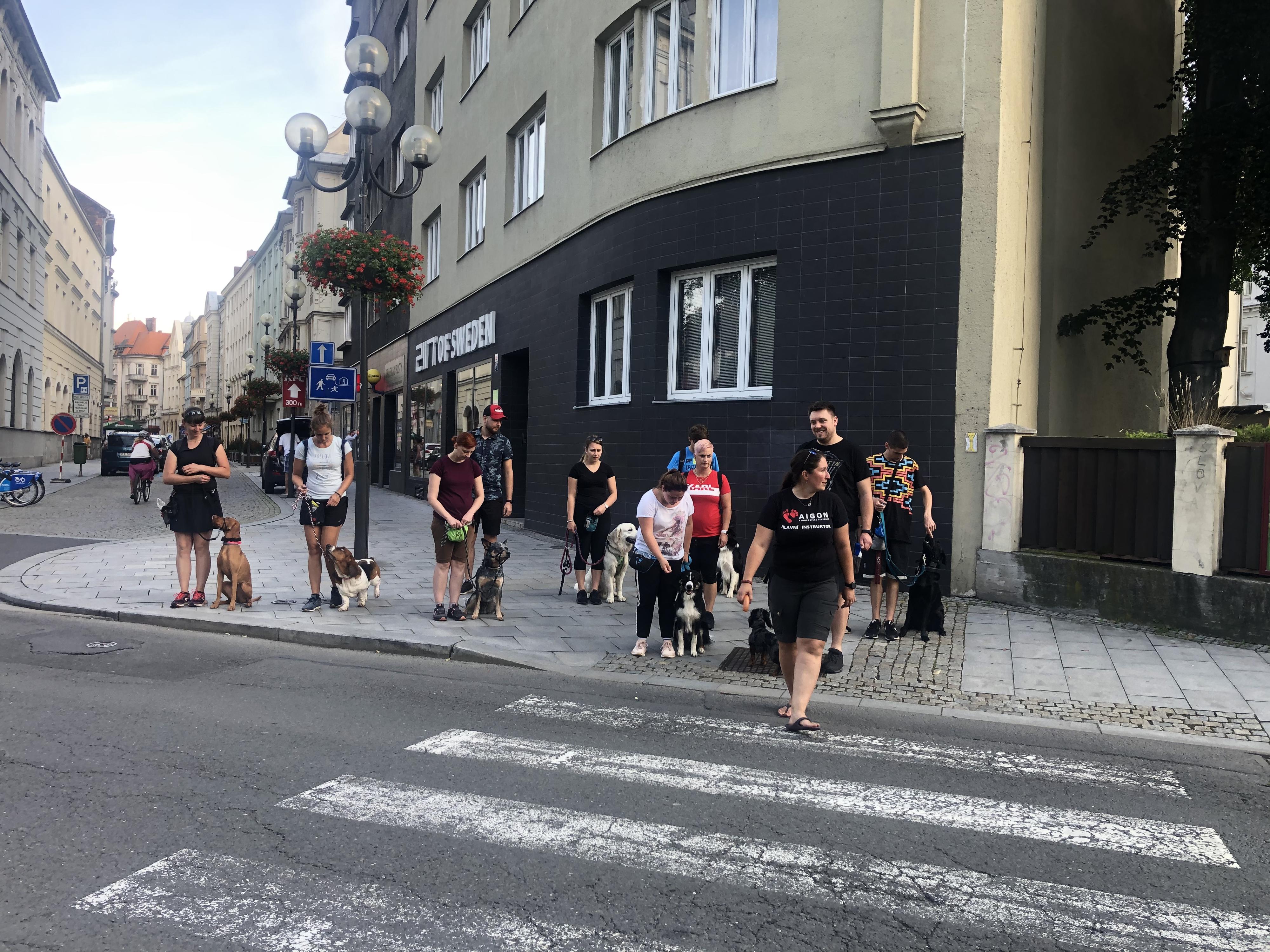 Kynologické centrum AIGON foto 4