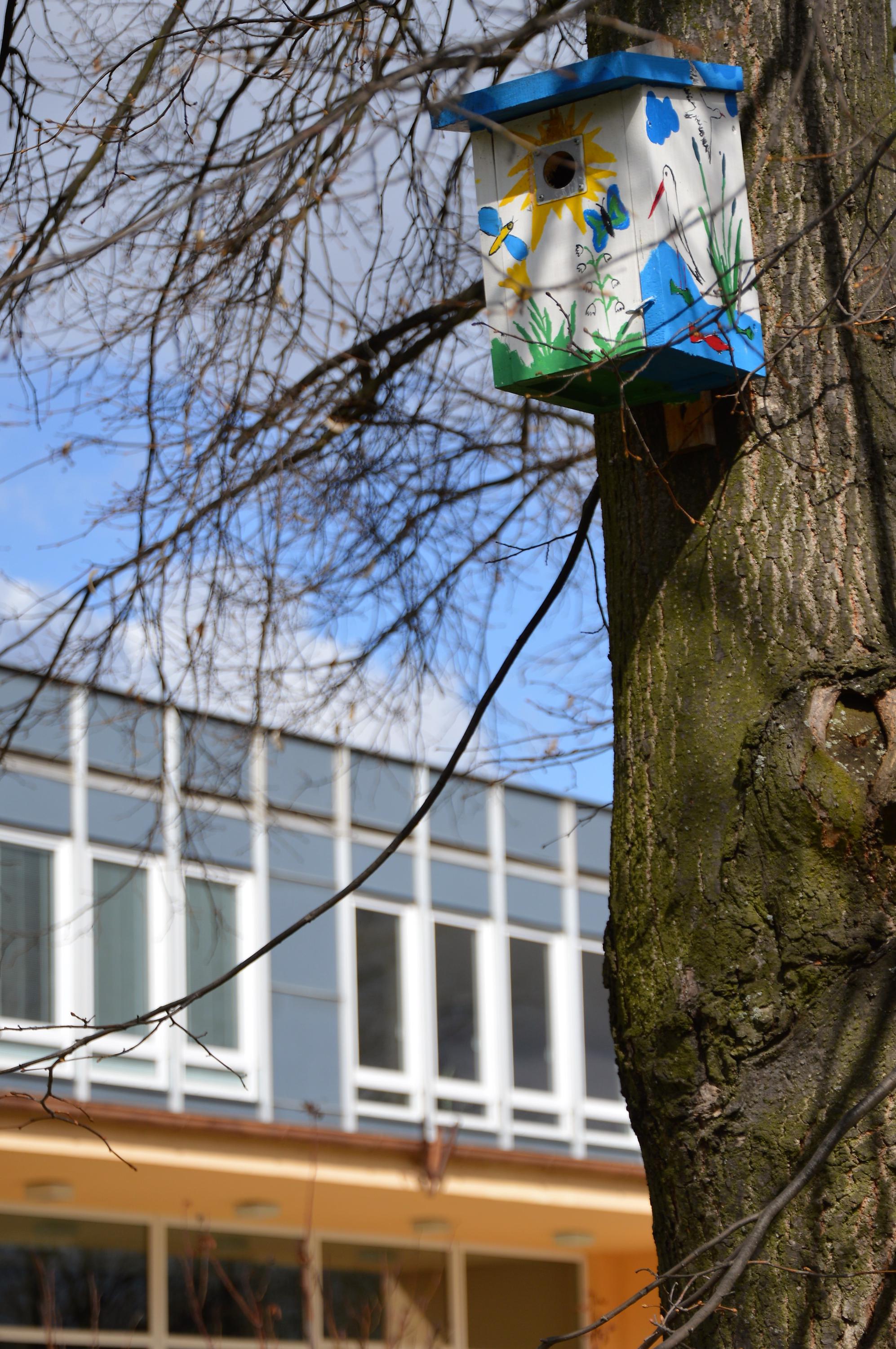 Základní škola Nová foto 4