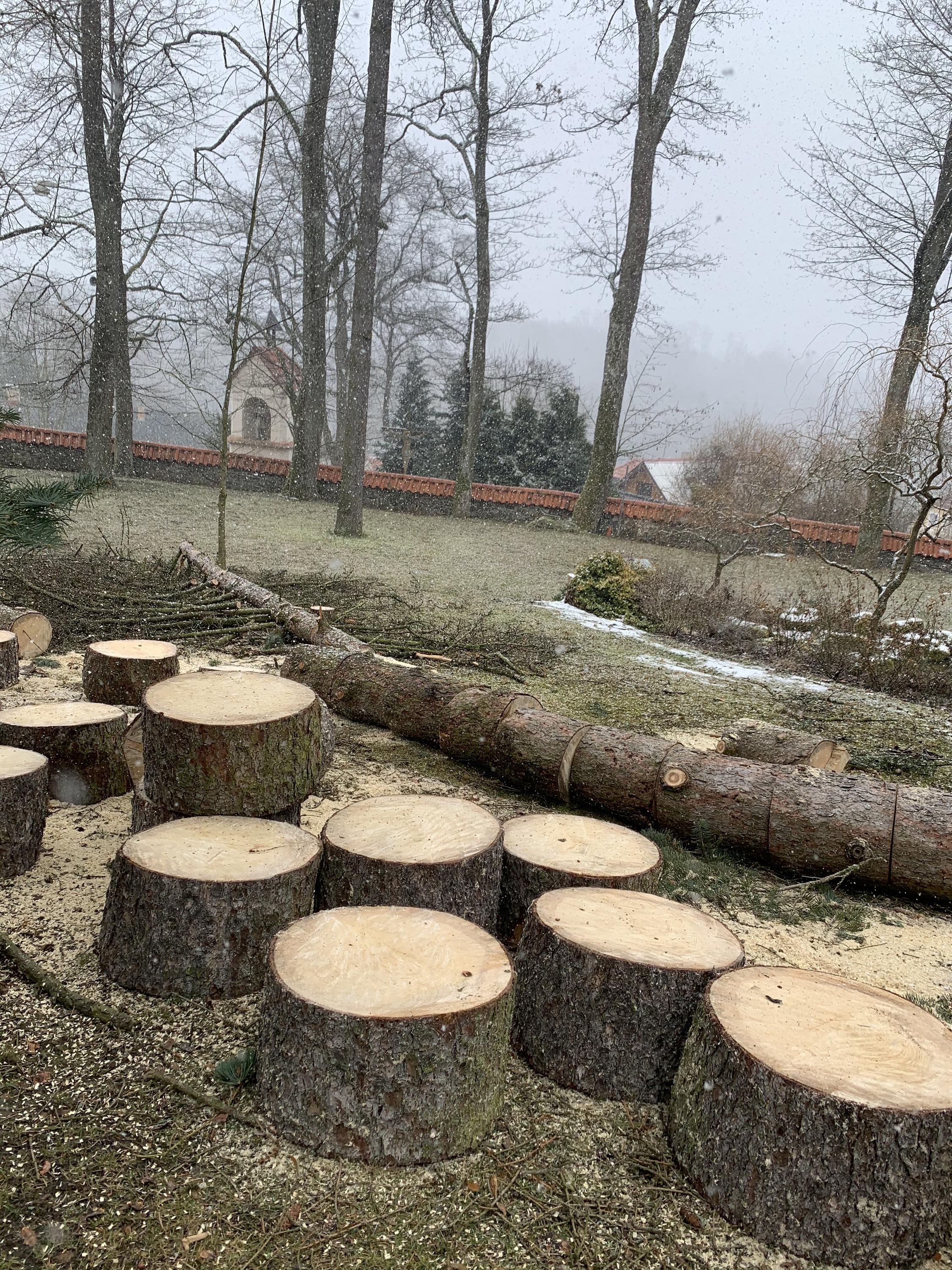 ArboSOS - Rizikové kácení stromu a výškové práce foto 5