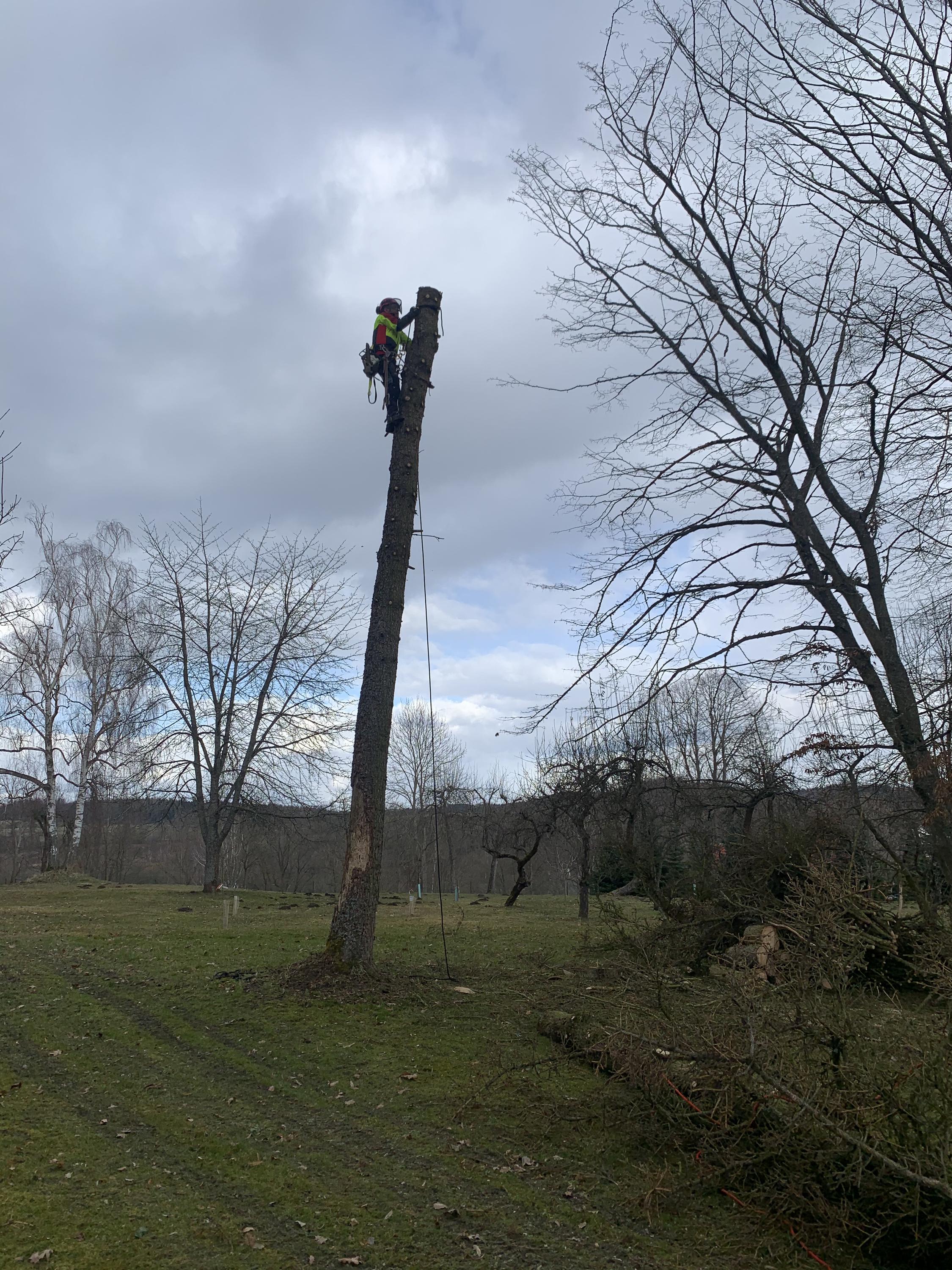 ArboSOS - Rizikové kácení stromu a výškové práce foto 3