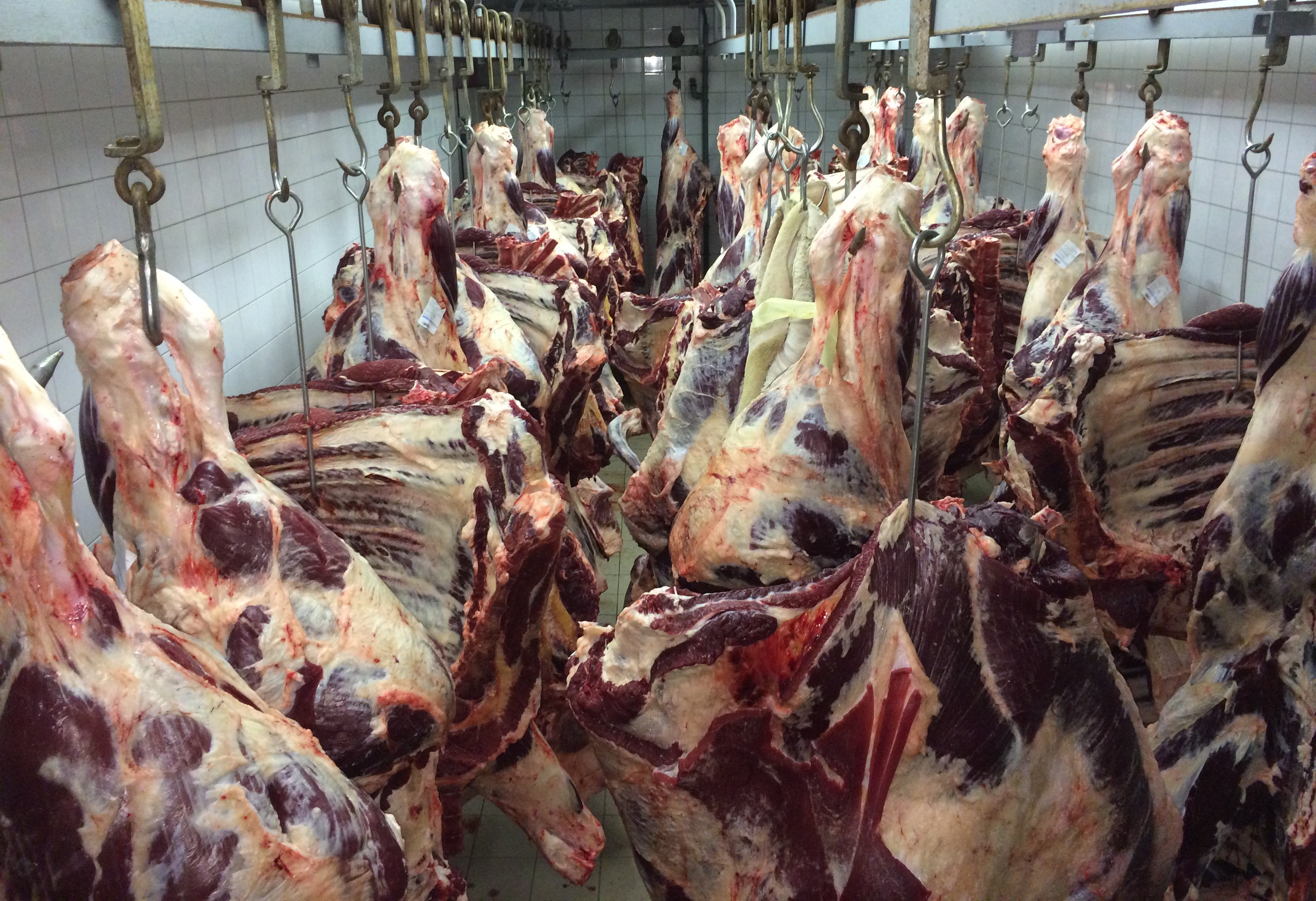 Řeznictví U Matoušků / Podblanické maso - uzeniny foto 3