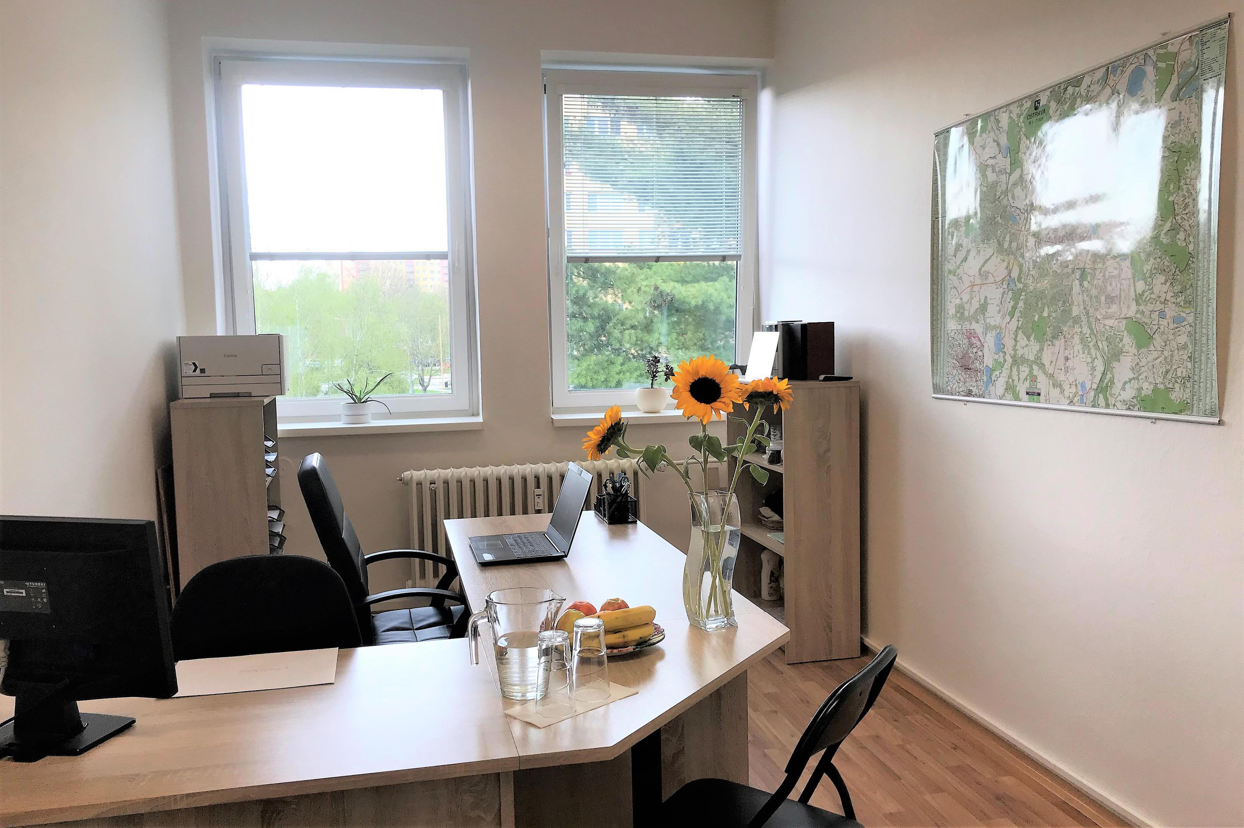 Magdaléna Horčičková - Artemis Reality