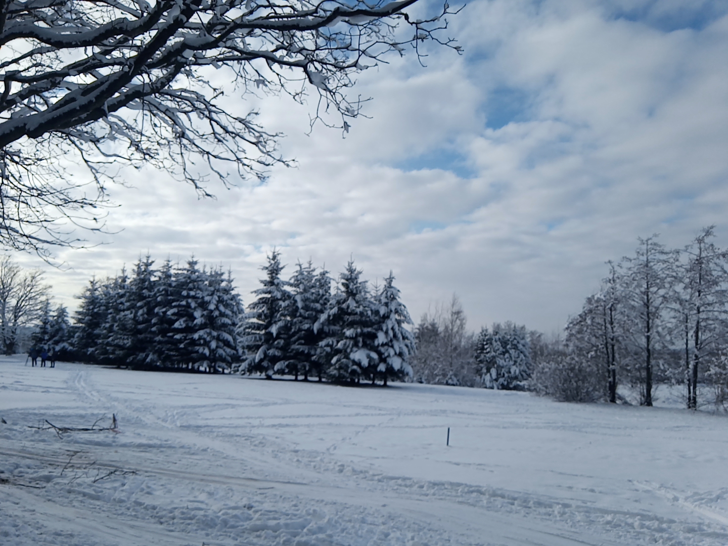 Golf & Ski Resort Kořenec u Boskovic foto 2