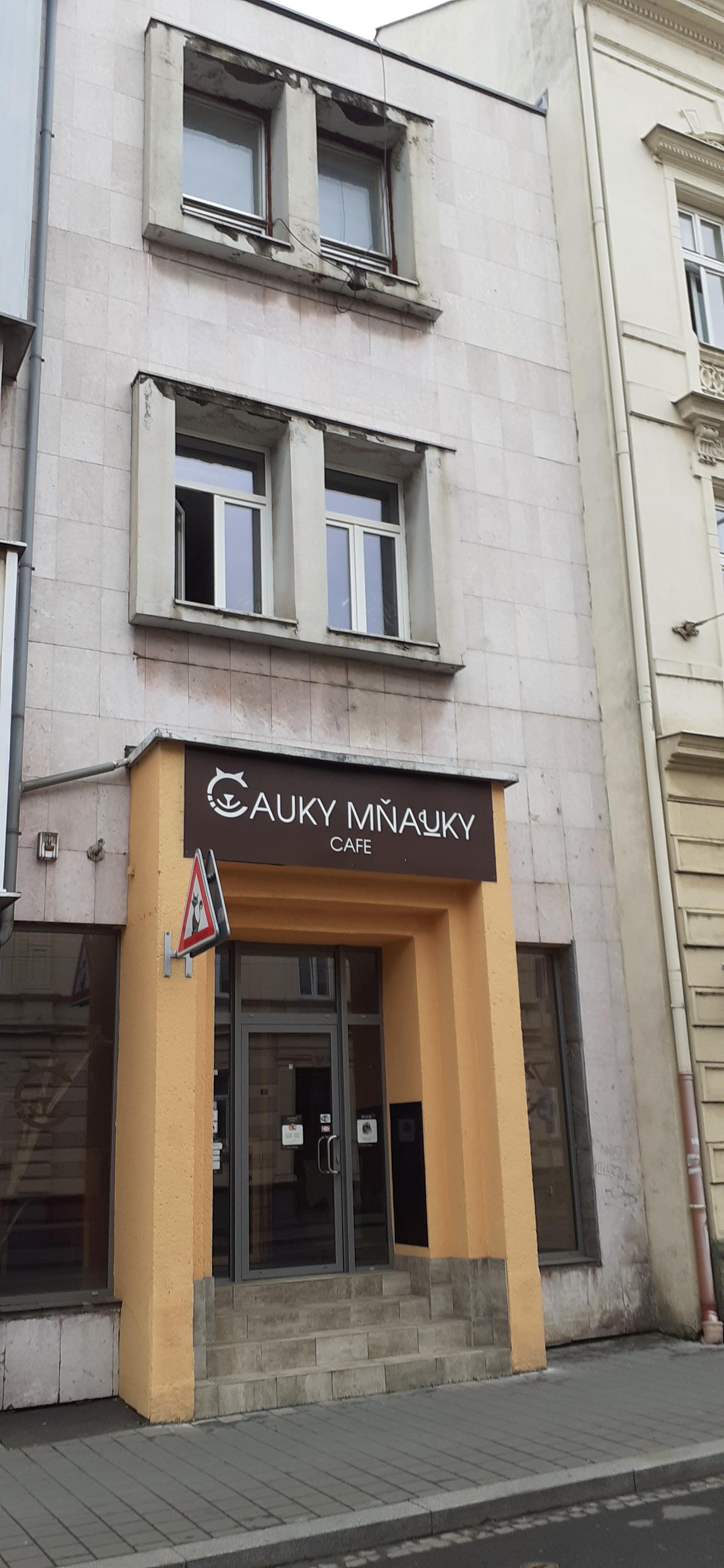 Čauky mňauky cafe foto 3