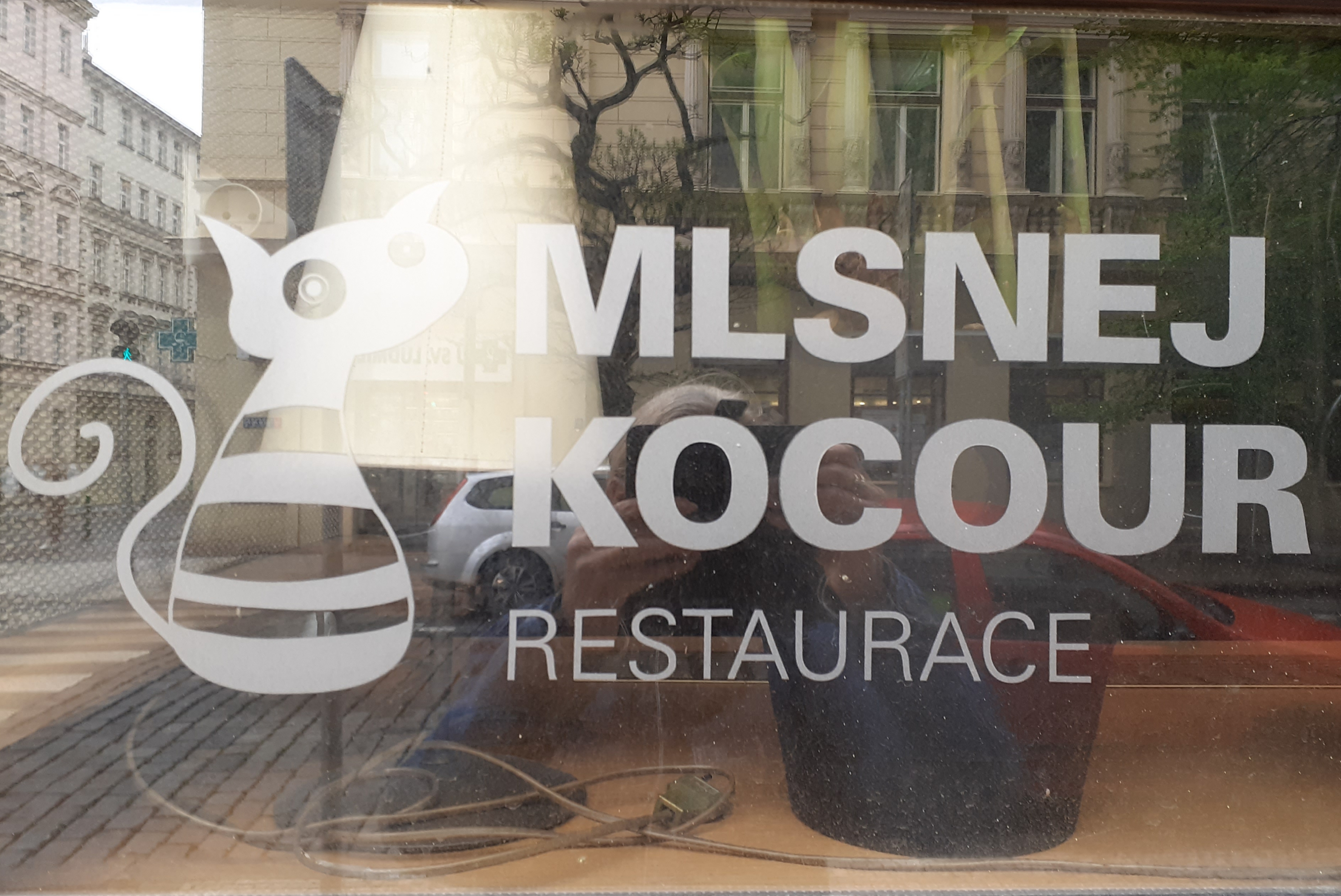 Mlsnej Kocour foto 3