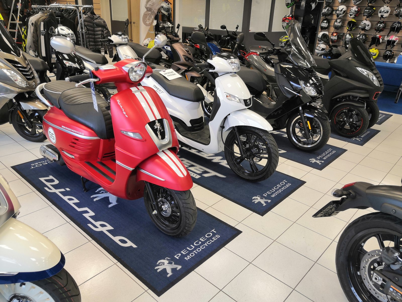 logovkoberci.cz foto 2