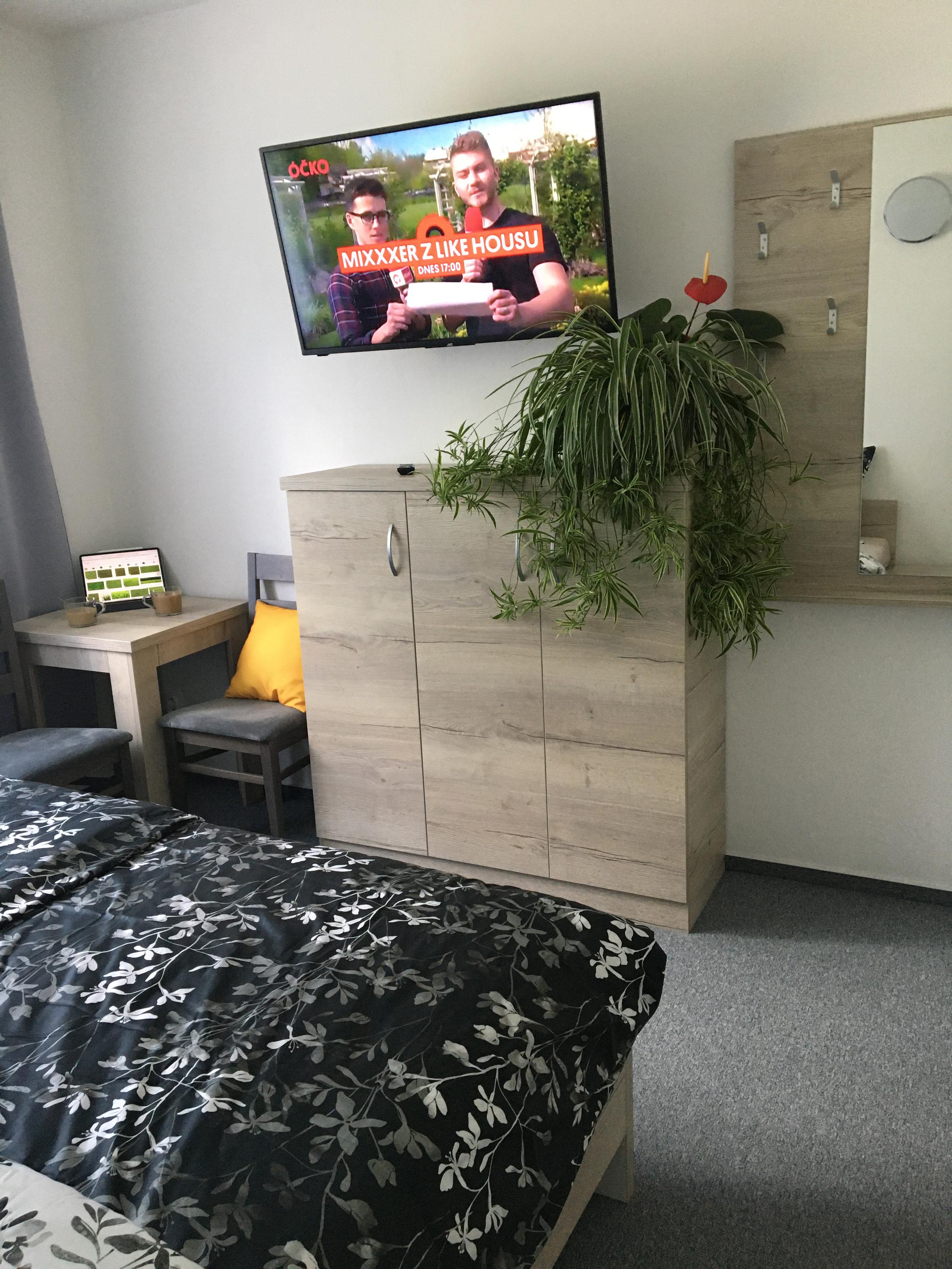 Apartmán číslo 5 foto 6