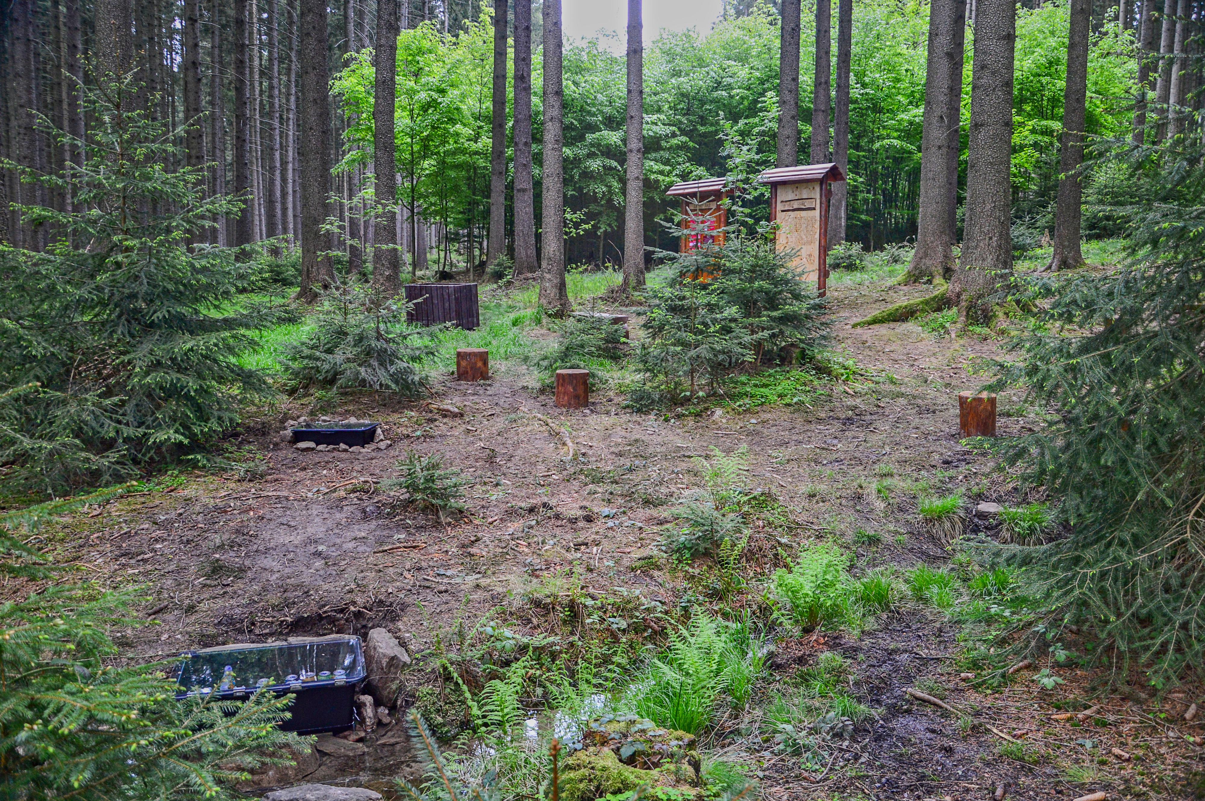 Lesní bar u víly Helenky foto 5