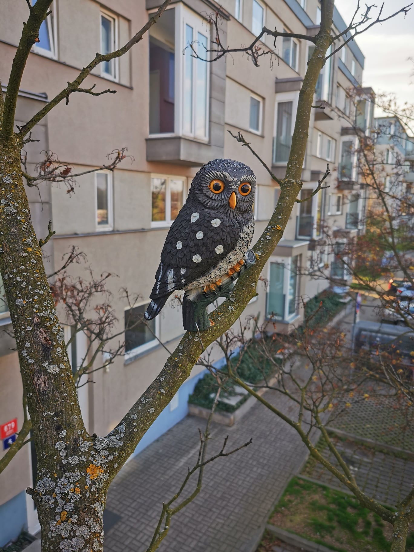 Geologické a výškové práce - Marián Steiger foto 3