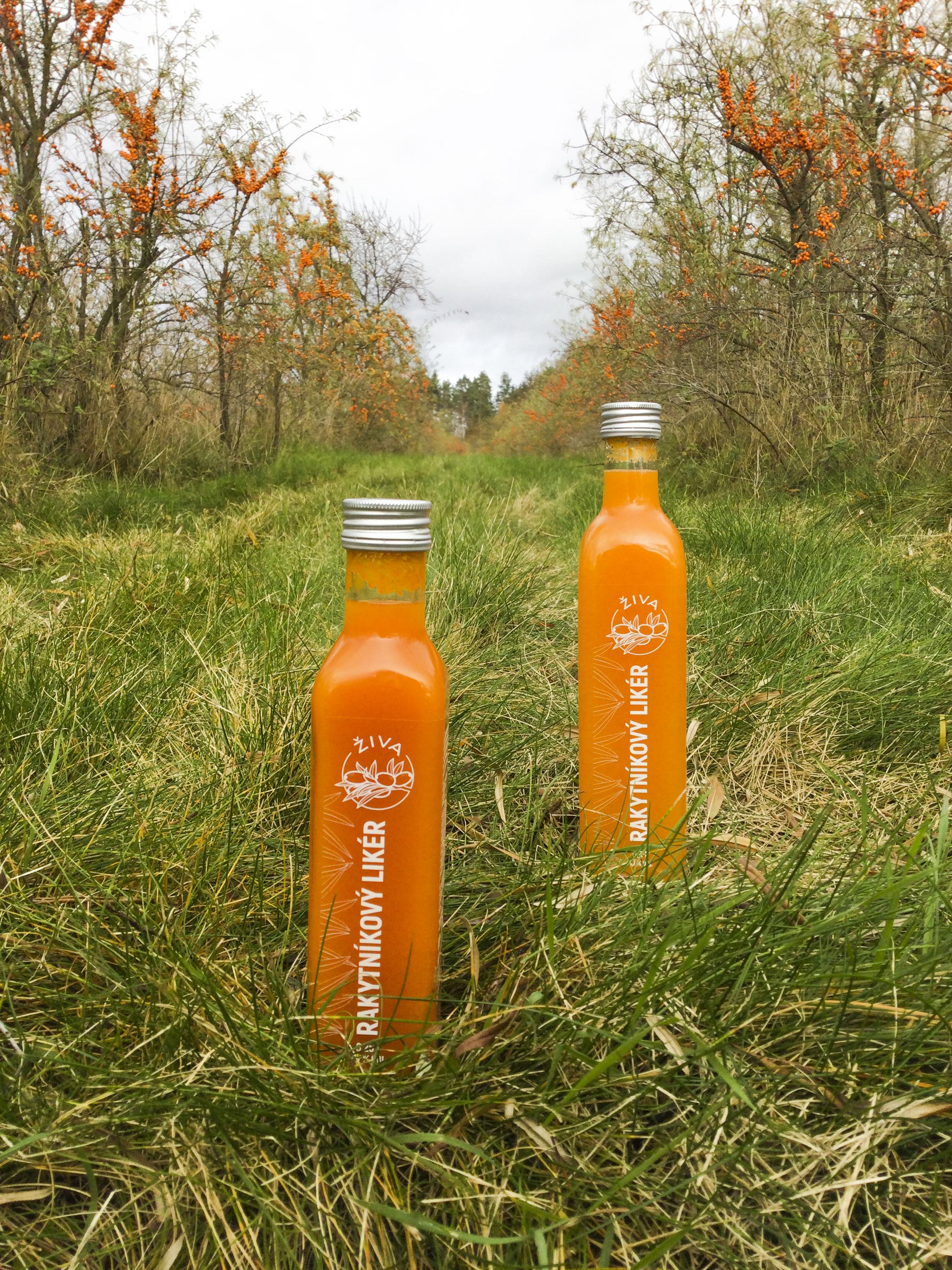 ŽIVA rakytník foto 3