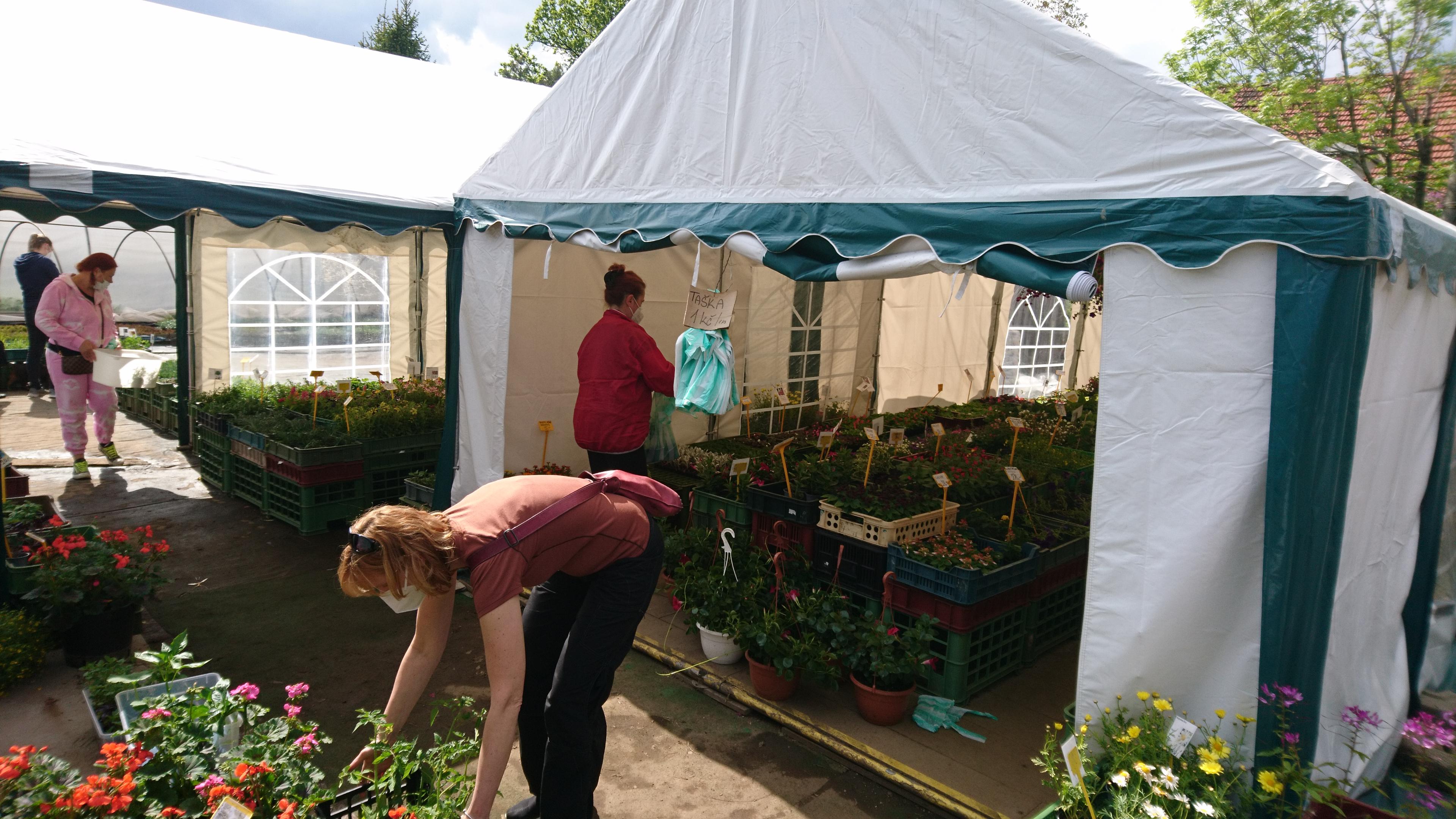 Zahradnictví Dehner foto 2