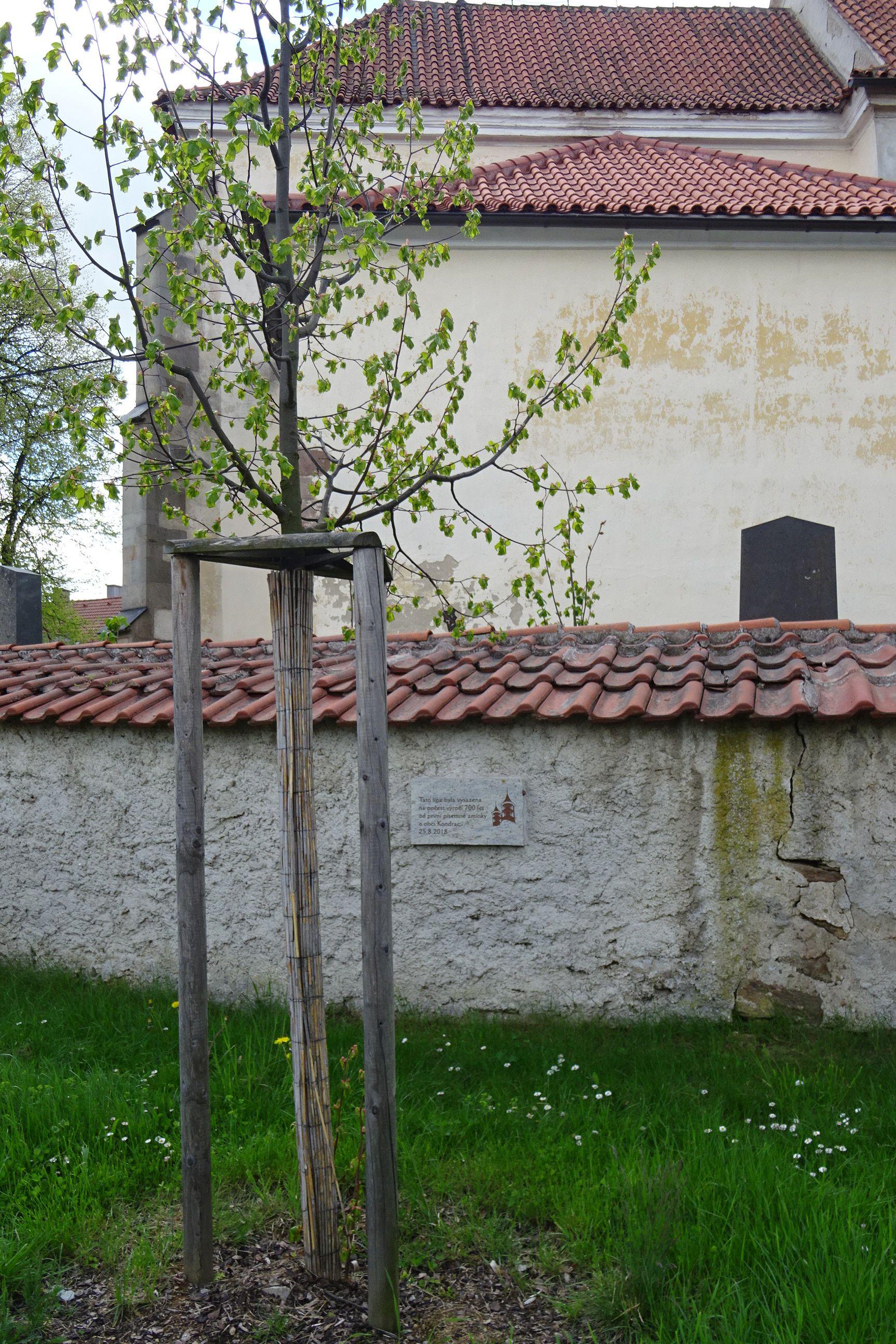 Kondrac - obecní úřad foto 5