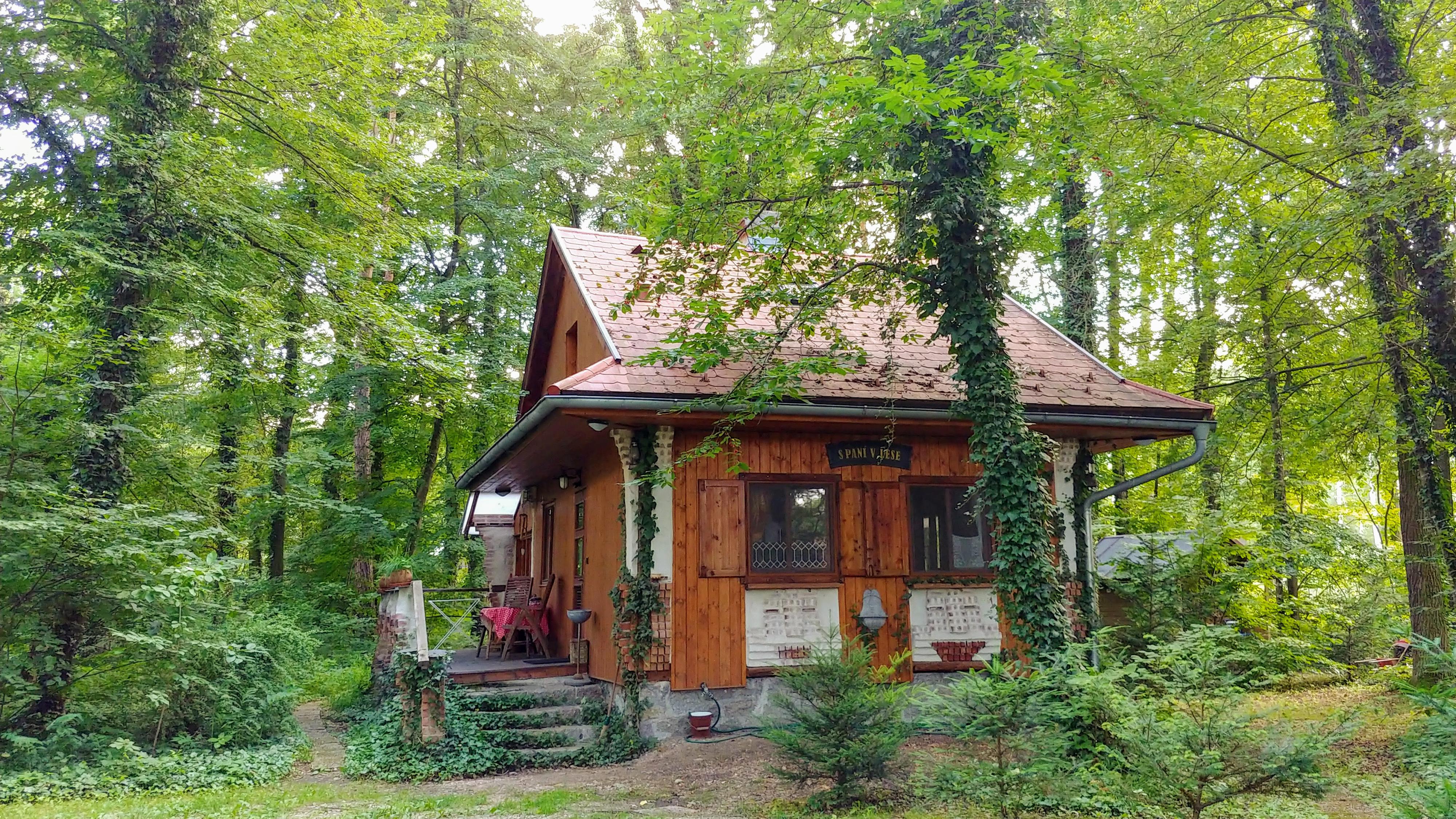 Ubytování U lesních Mužíků foto 5