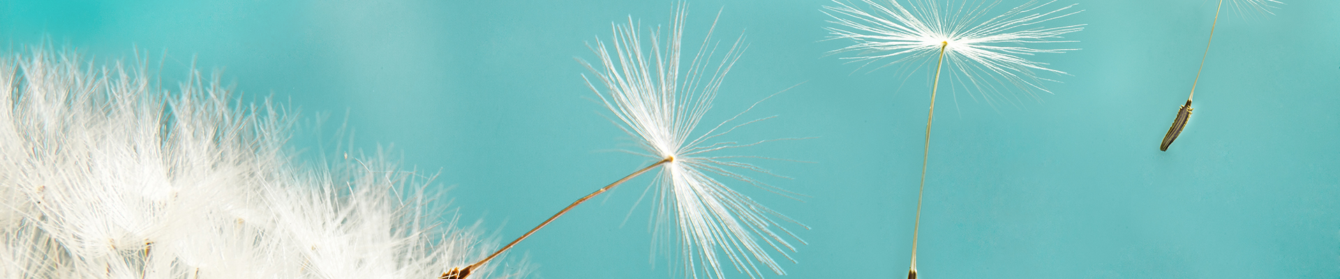 Úvodní obrázek FajnSpánek.cz