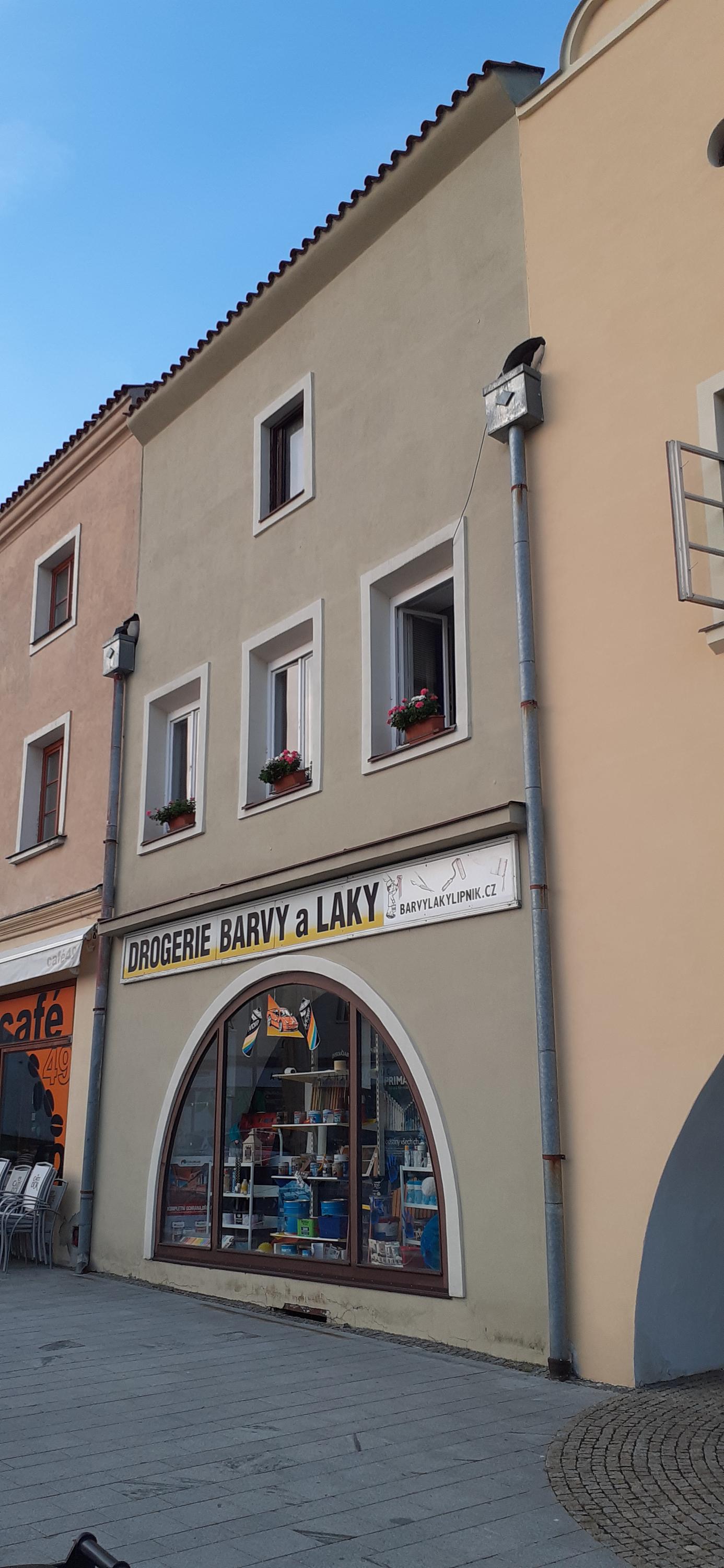 Jana Velešíková foto 2