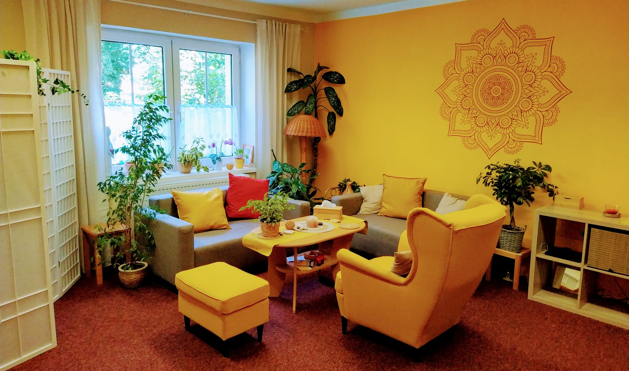 PhDr. Romana Boháčová foto 2