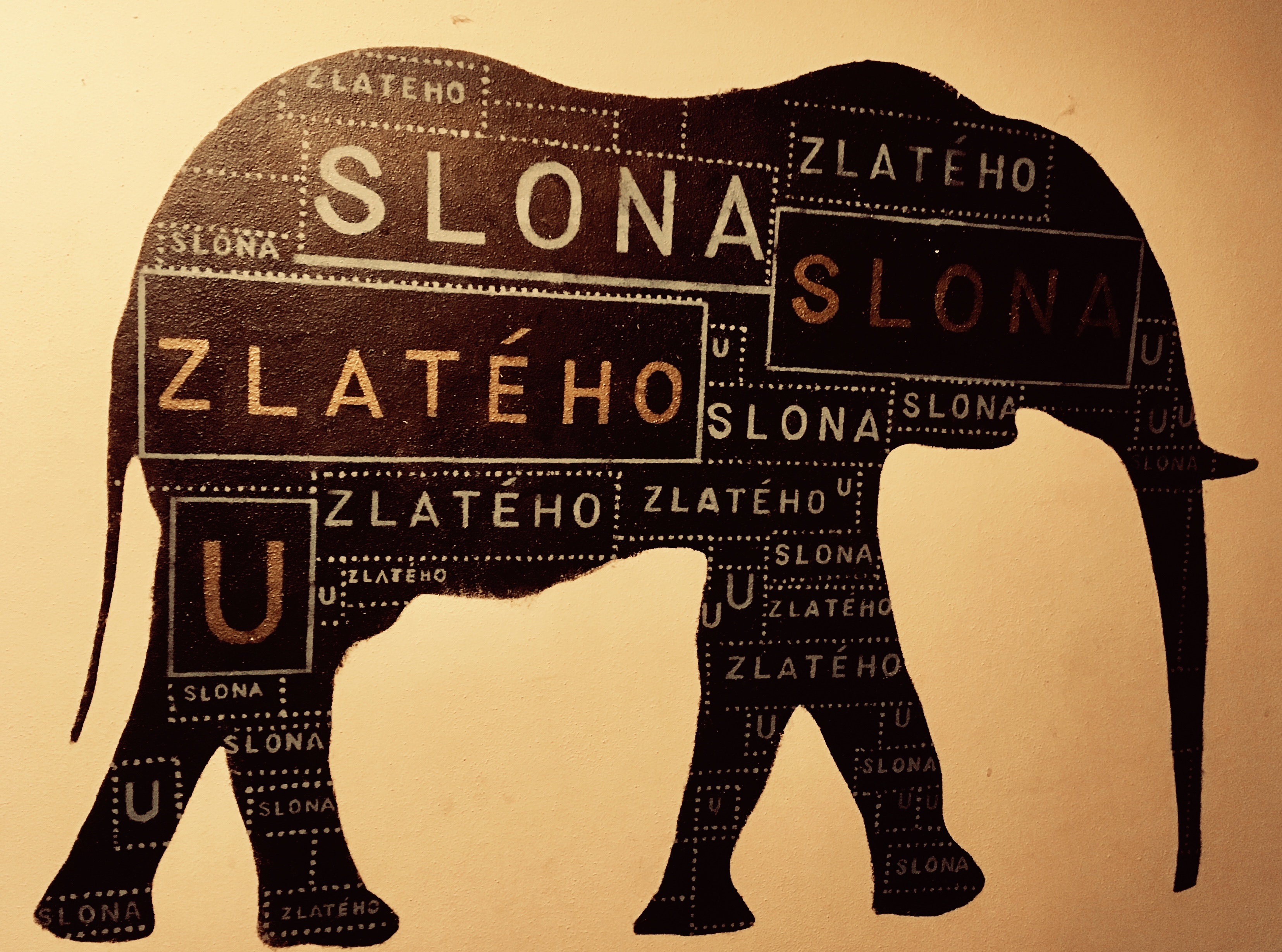 Pivnice U Zlatého slona foto 3