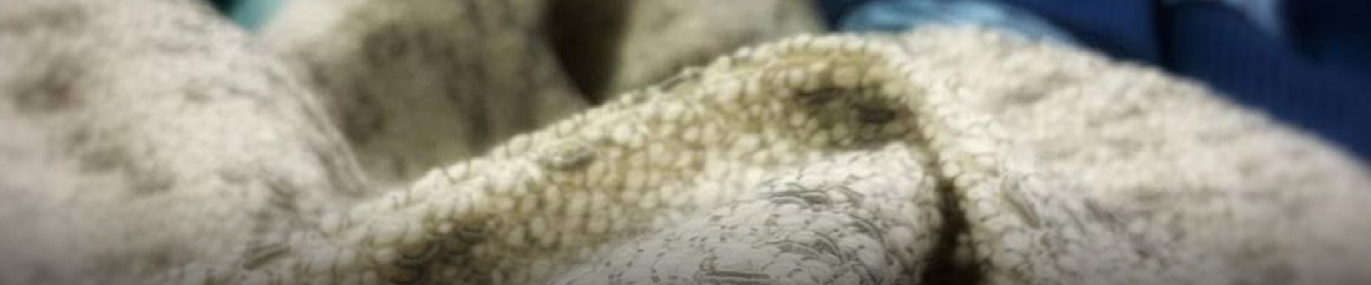 Úvodní obrázek PAR EXCELLENCE