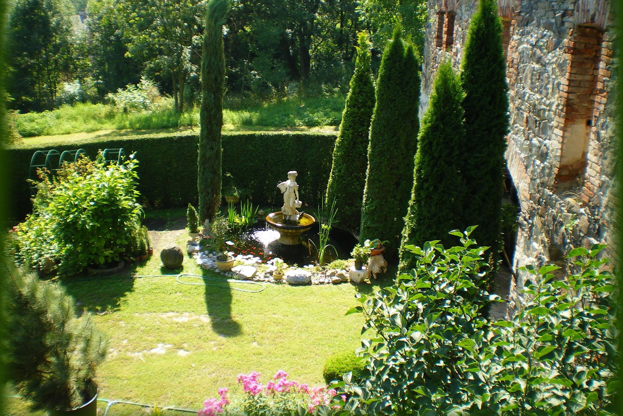 Prodej thují Ivo Mucha