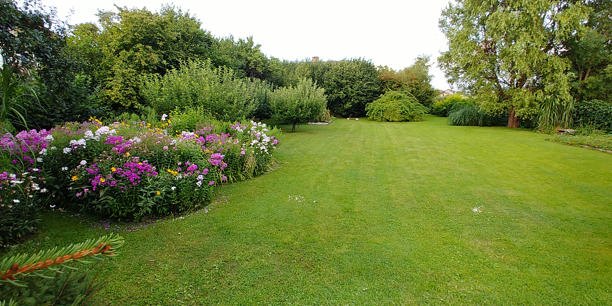 Třeboňská růže - ubytování foto 3