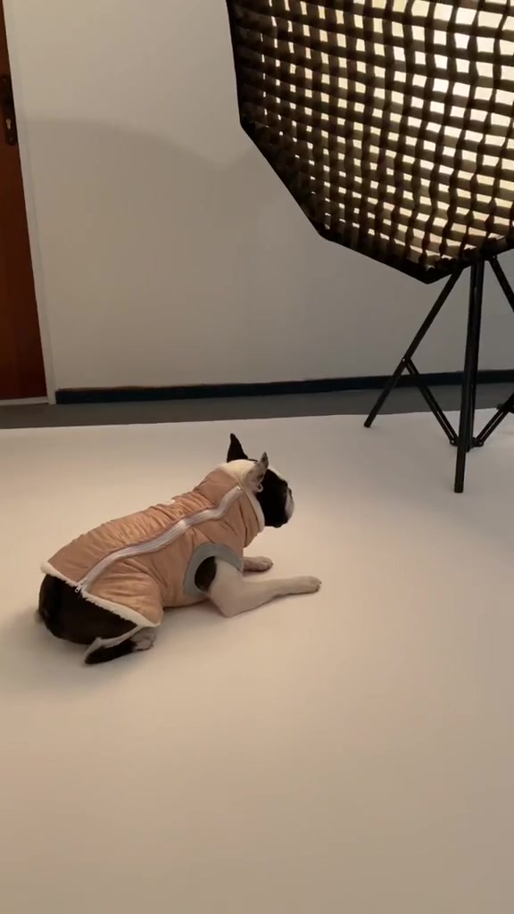 Mantys.cz foto 2 (náhled videa)