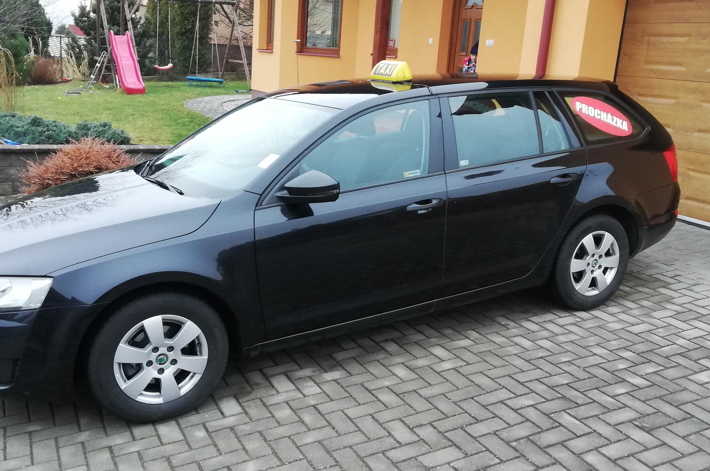 TAXISLUŽBA - PROCHÁZKA