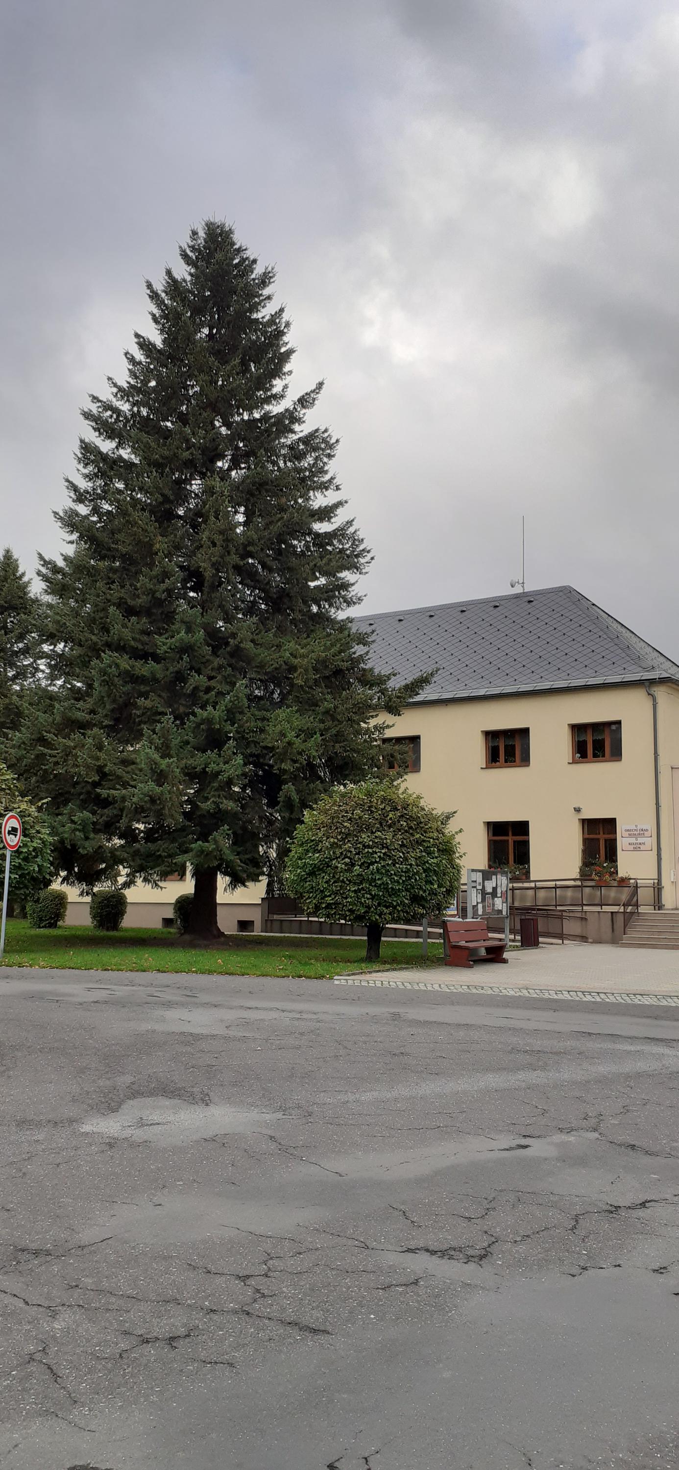 Sedliště - obecní úřad foto 2