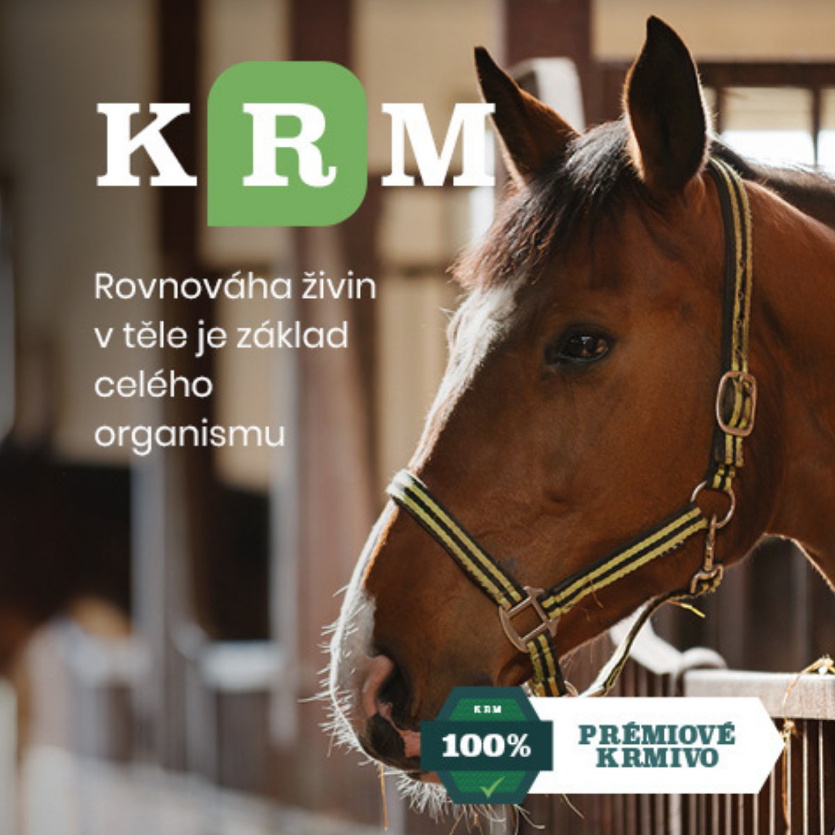 Krmkone.cz foto 3