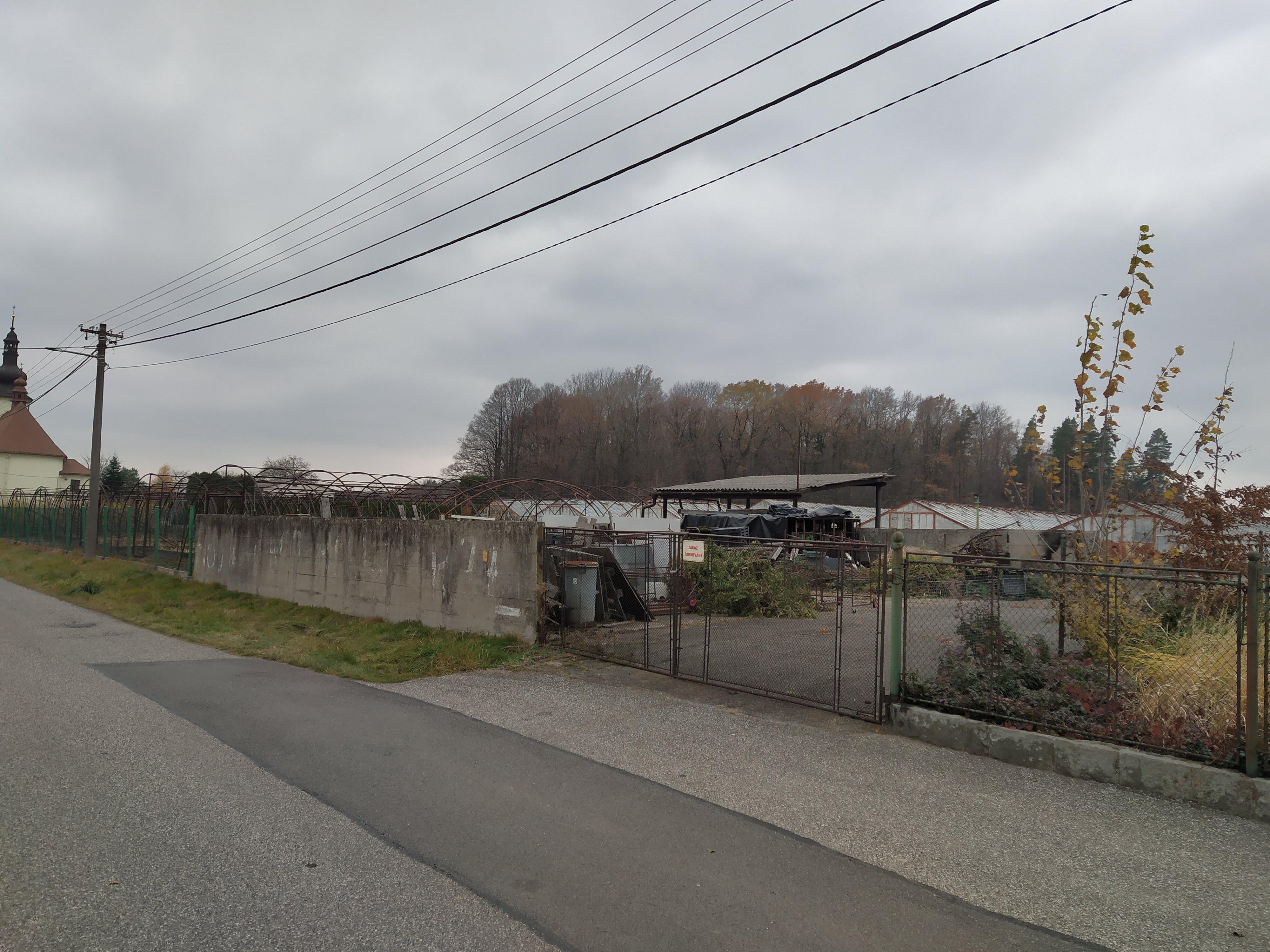 Zahradnictví Lysůvky, a.s. foto 3