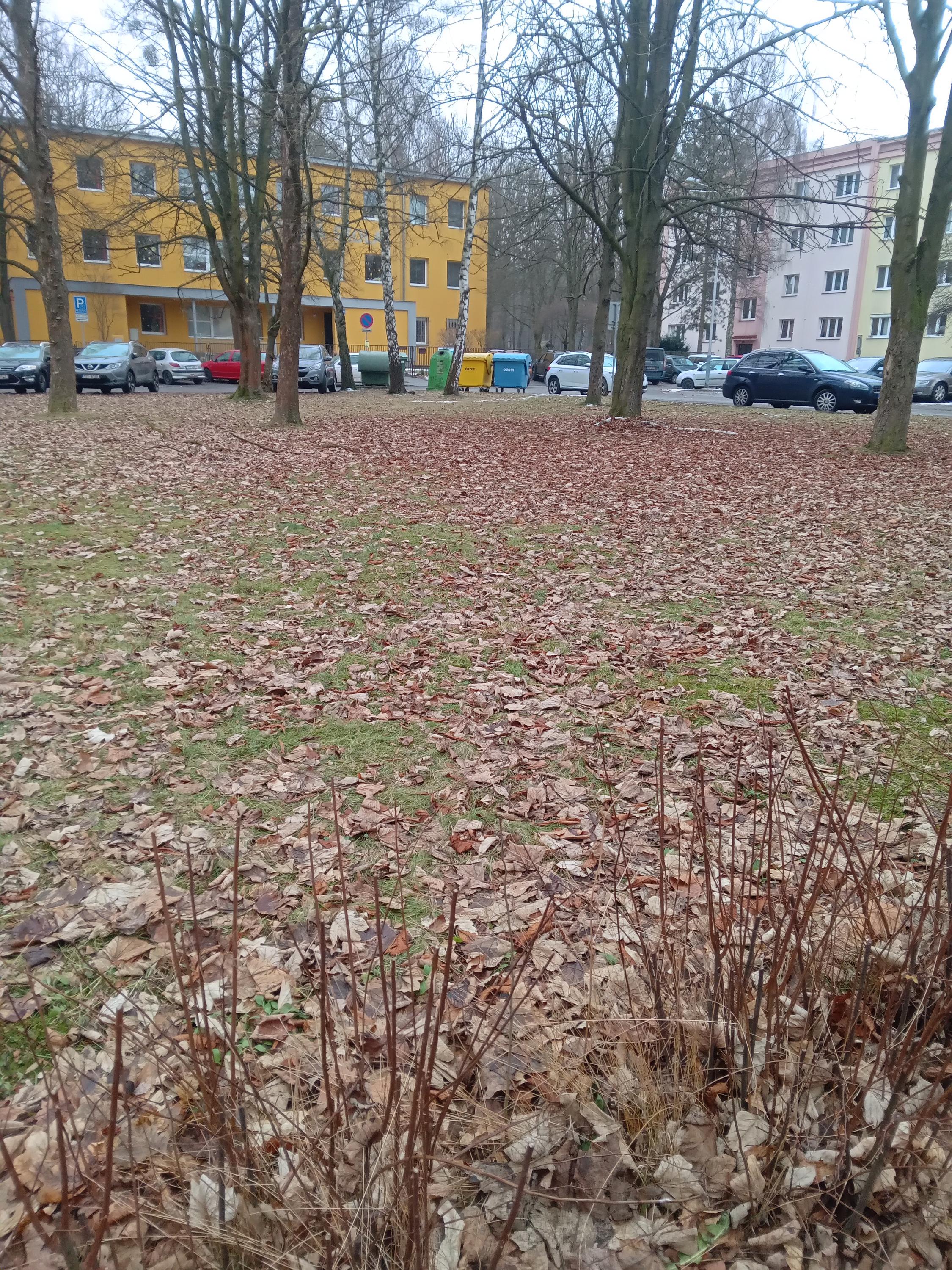 ZŠ a MŠ Ostrava-Zábřeh, Kosmonautů foto 2