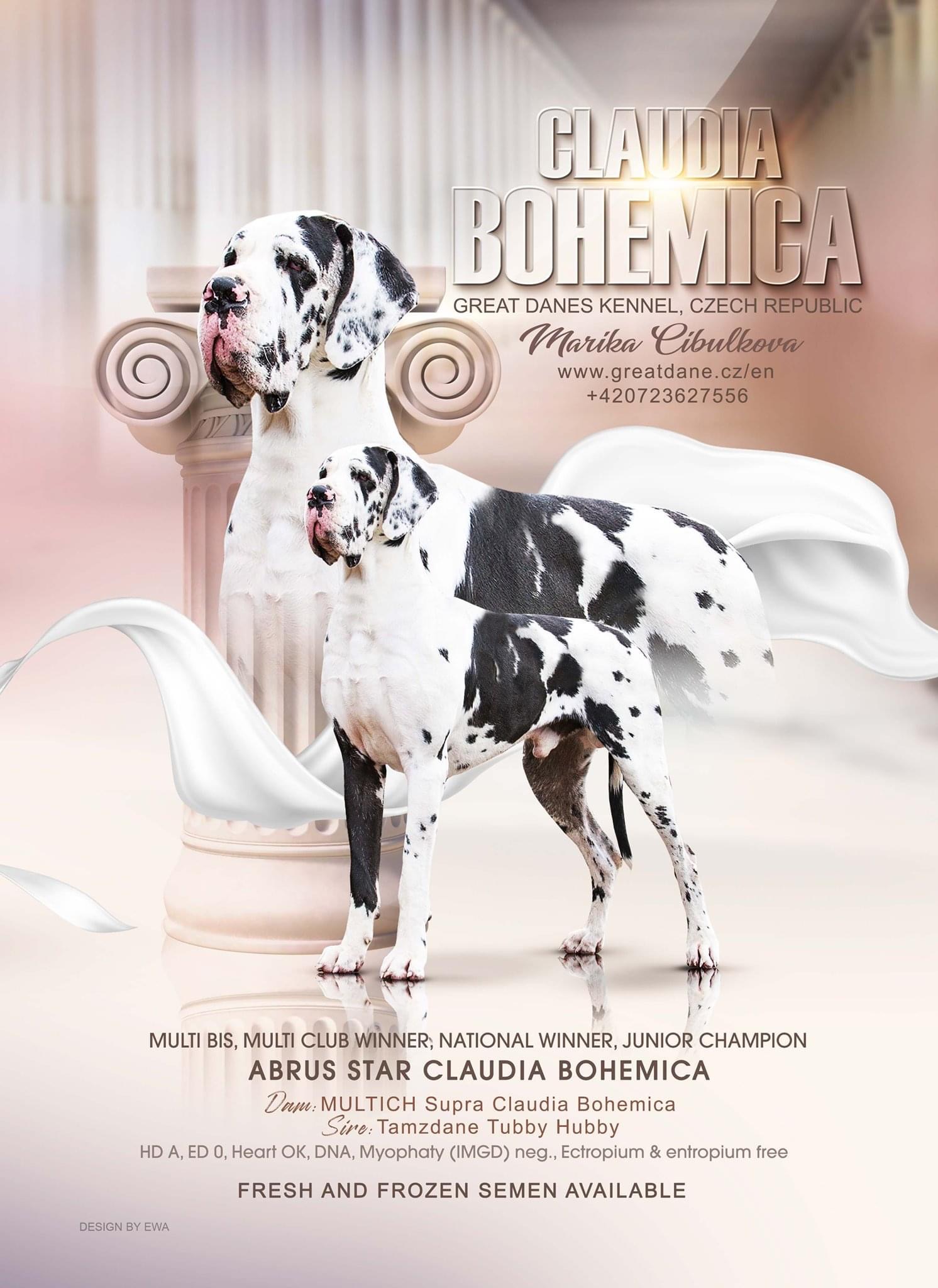 CLAUDIA BOHEMICA foto 1