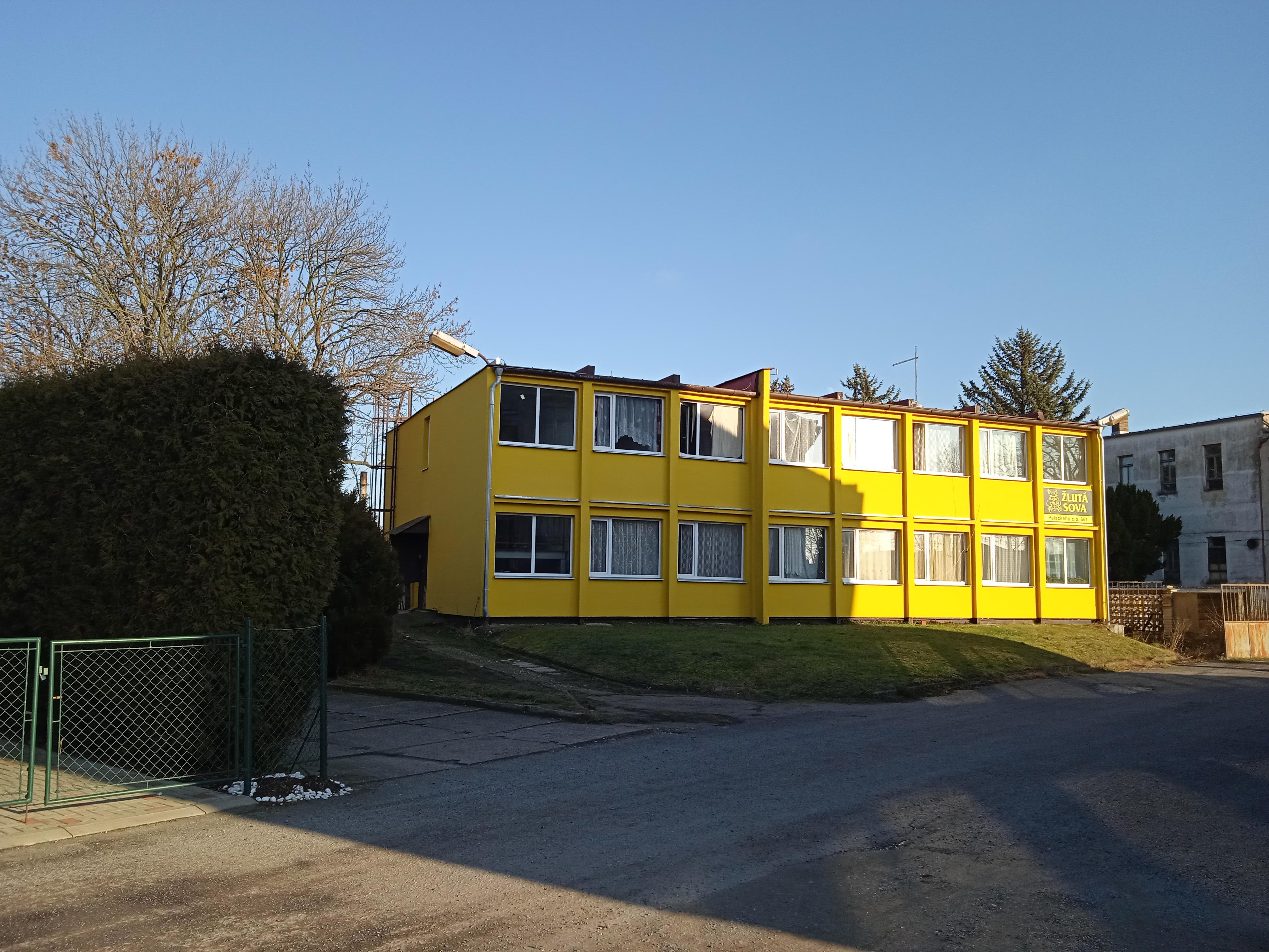 ŽLUTÁ SOVA foto 6