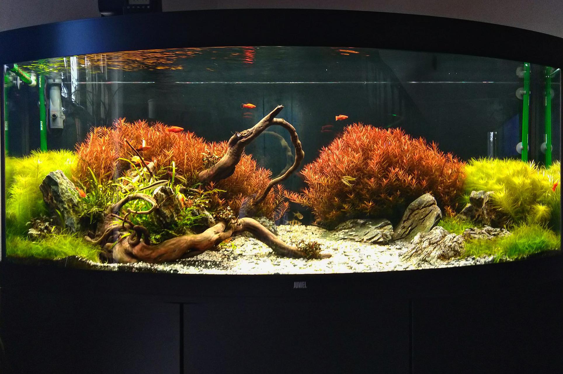 Aquascaping4you - Josef Kapal