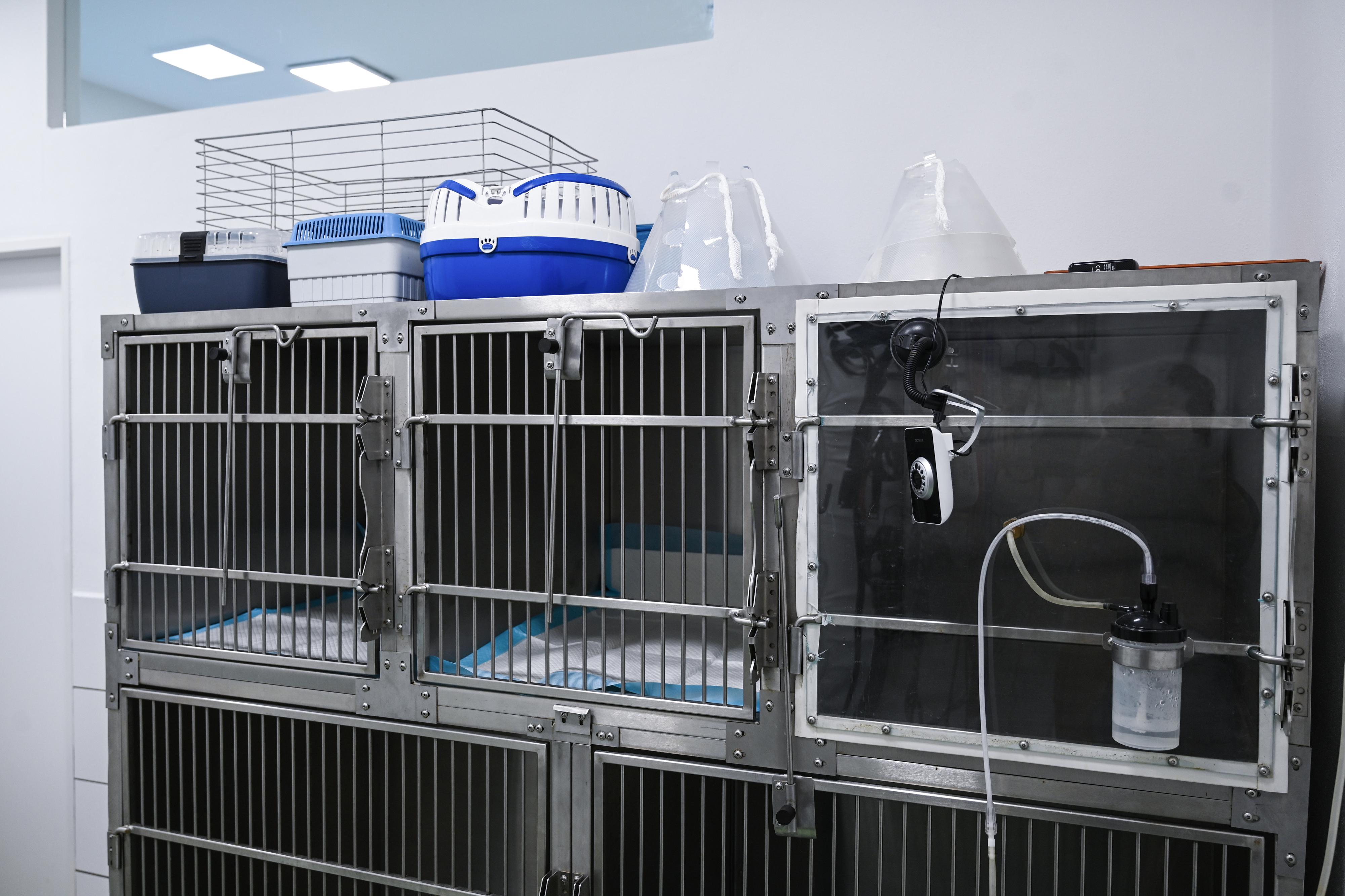 Veterinární klinika MVDr. Michael Mazoch, s.r.o. foto 3